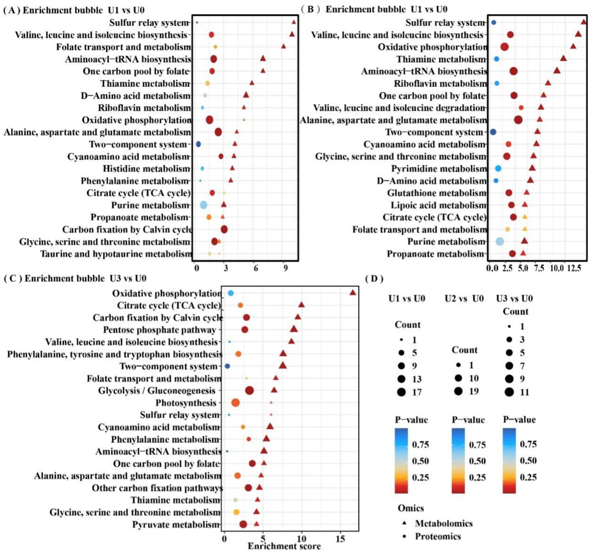 Bubble charts labeled A, B, and C show enrichment scores for various metabolic pathways, comparing different conditions (U1 vs U0, U2 vs U0, U3 vs U0). Each pathway is represented by colored bubbles varying in size based on count, with colors indicating P-values. Panel D explains symbol meanings: triangles for metabolomics and circles for proteomics.