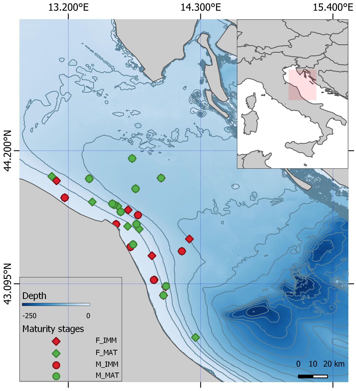 Map of the northern Adriatic Sea showing depth contours and maturity stages of fish with colored symbols. Red diamonds and circles represent female immature and mature stages. Green diamonds and circles represent male immature and mature stages. An inset map highlights the location within the broader European region. Depth ranges from 0 to -250 meters.