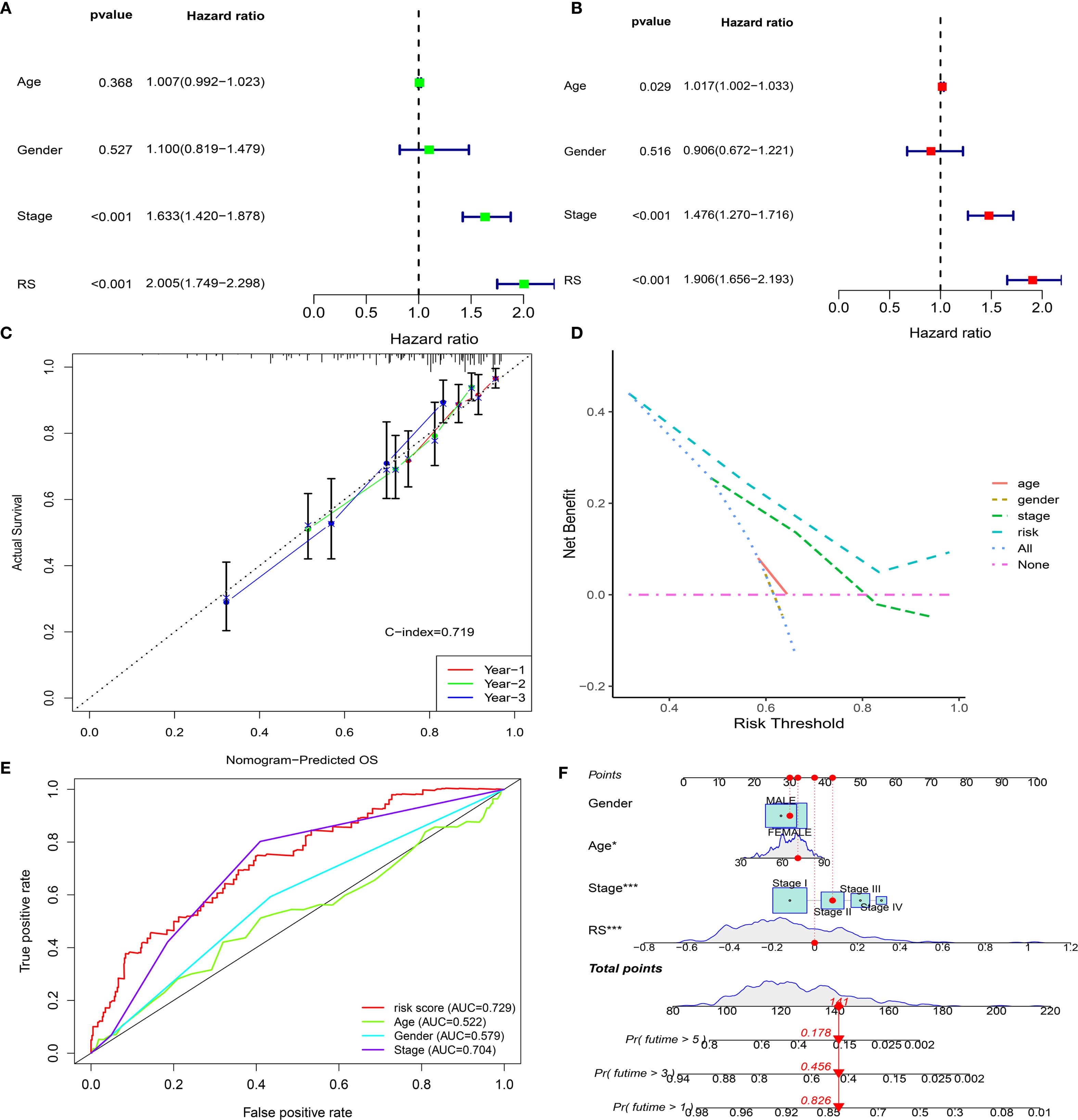 Panel of six graphs showing statistical analyses: A: Forest plot with hazard ratios for age, gender, stage, and RS, highlighting significant values for stage and RS. B: Another forest plot with updated hazard ratios, showing significance for age, stage, and RS. C: Calibration curve demonstrating predicted versus actual survival over three years with a C-index of 0.719. D: Decision curve analysis comparing net benefits for age, gender, stage, risk, and no intervention. E: ROC curves comparing predictive power of risk score, age, gender, and stage; risk score has highest AUC of 0.729. F: Nomogram predicting survival probability based on total points from gender, age, stage, and RS factors.