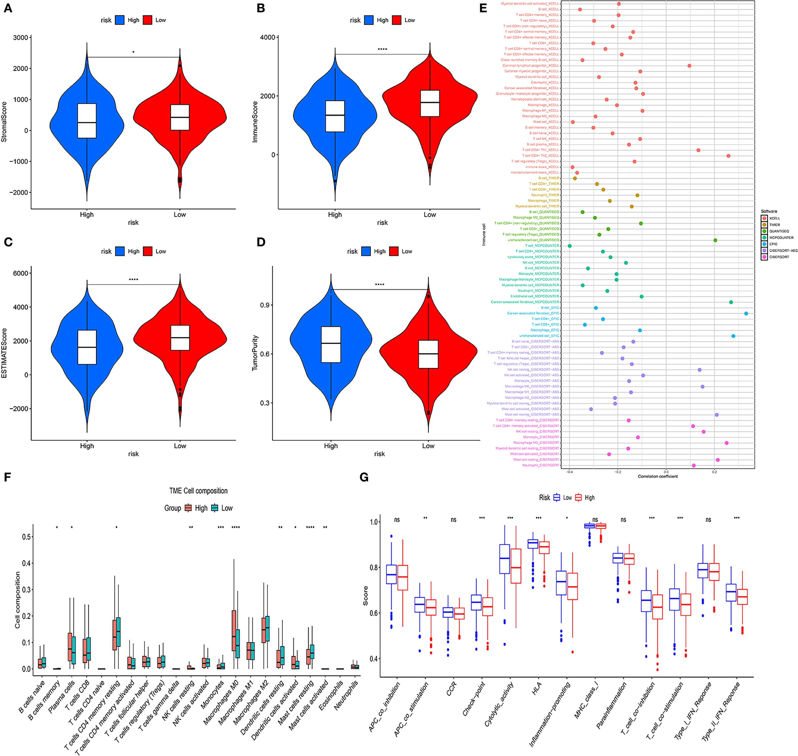 Violin plots (A-D) and box plots (F-G) display data comparison between high and low risk groups, using blue and red to differentiate. Panel E shows a scatter plot with colored dots representing subset correlations, categorized by color. Each plot highlights differences in immune cell compositions and scores, with significant differences marked by asterisks.