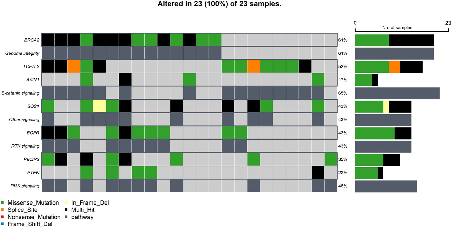 Oncoplot depicting pathway-level alterations in the Saudi CRC cohort. Chart showing gene alterations across 23 colorectal cancer samples. Rows represent key genes grouped by major signaling pathways (e.g., BRCA2 in Homologous Recombination Repair; TCF7L2 and AXIN1 in β-catenin signaling; PIK3R2 and PTEN in PI3K signaling; EGFR in the RTK pathway; and SOS1 in other signaling, likely RAS pathway), alteration percentages are provided in the right. Columns represent individual patient samples. Color coding denotes mutation type: missense (green), in-frame deletion (yellow), splice site (orange), and nonsense mutation (black). Bars on the right detail sample counts for each category.