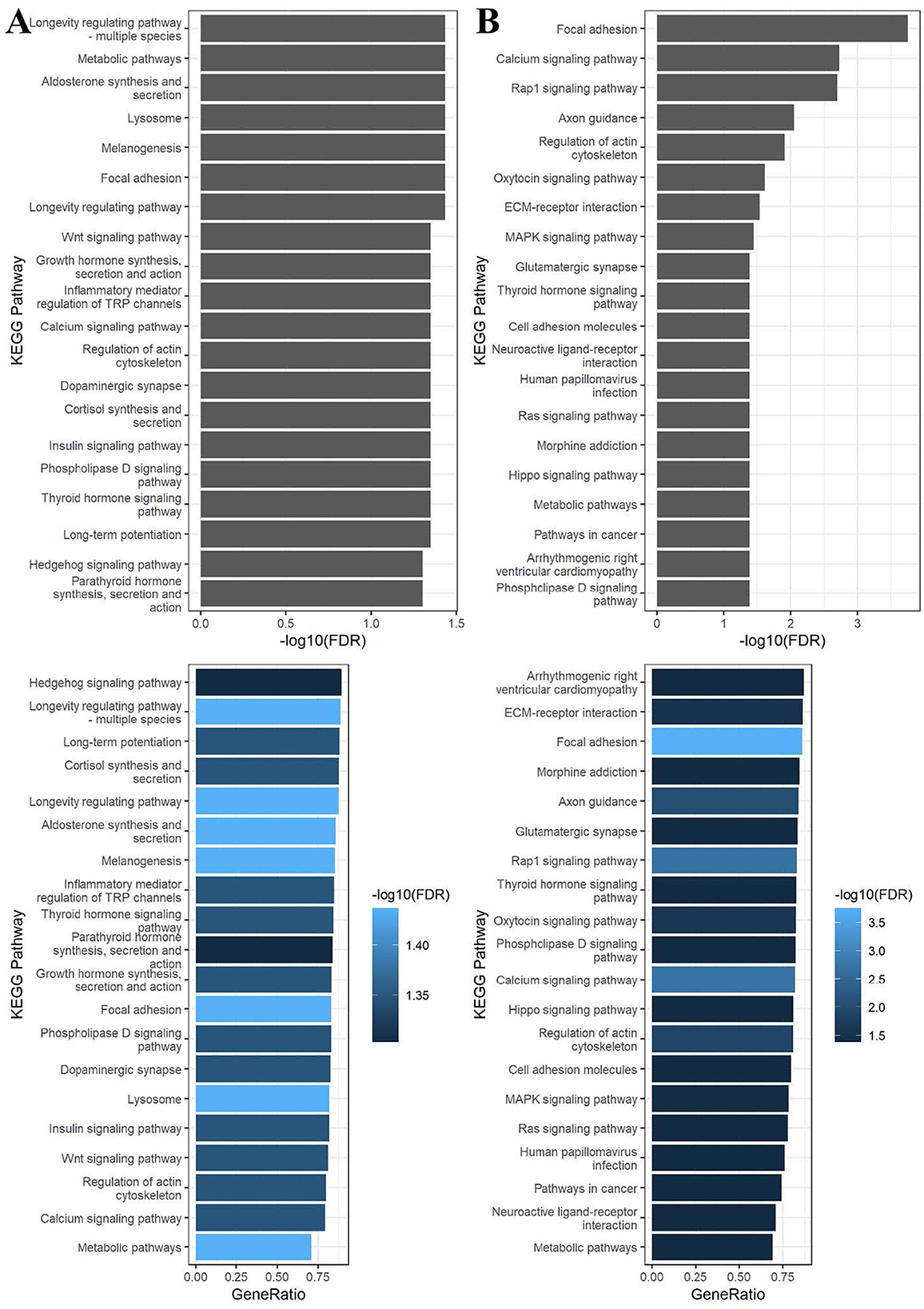 Four bar graphs depict KEGG pathway analyses for PFOA (left) and PFOS (right). The terms of the KEGG pathways are depicted on the y-axis. On the top figures, the x-axis is the -log10 FDR of the tests of the gene set enrichment in each pathway. On the bottom figures, the x-axis is the ratio between the number of differentially methylated genes and the number of genes in the KEGG term.