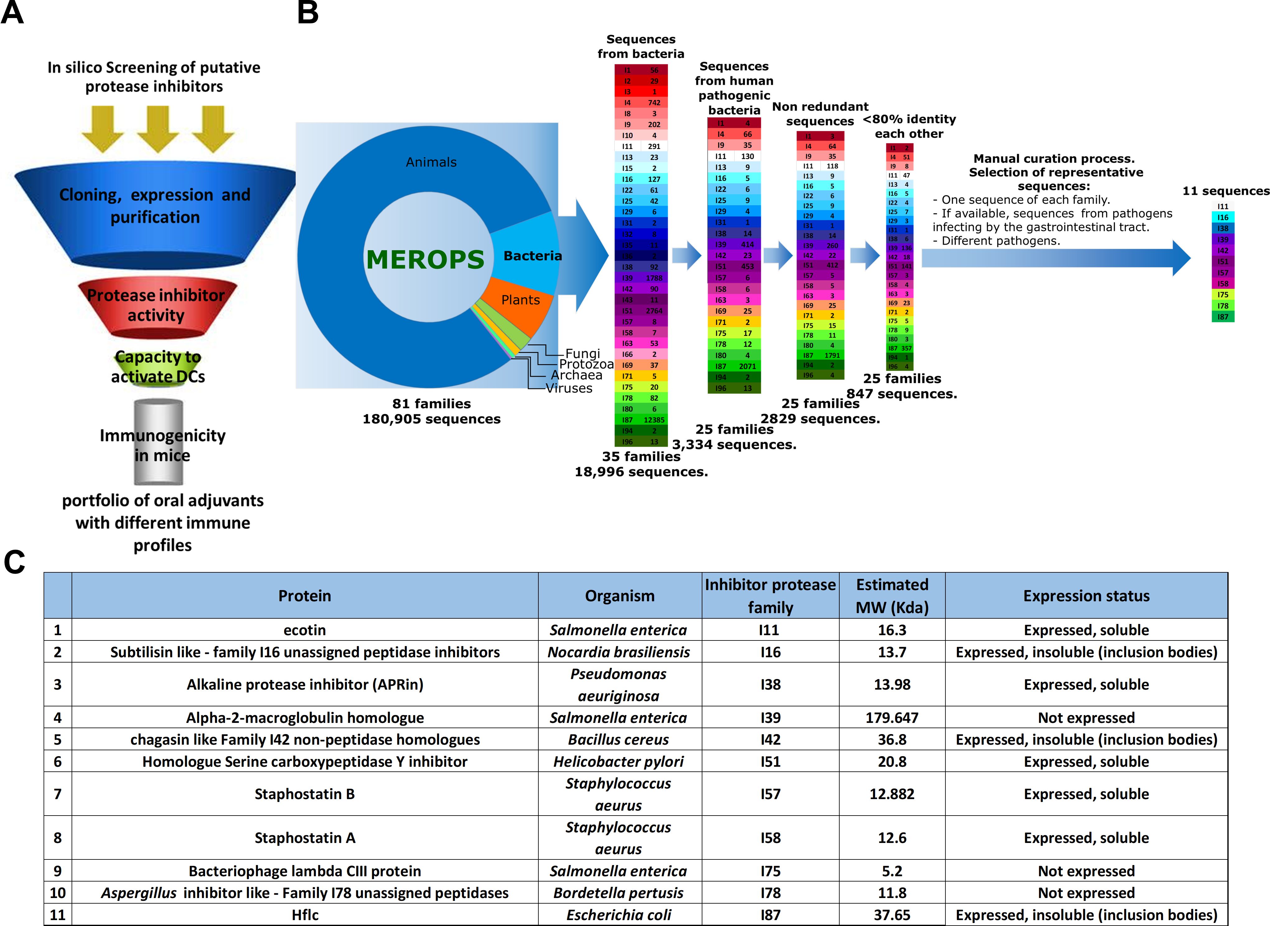 Bar charts display immune response data. Chart A shows Vmax of anti-CT IgG and IgA in serum and feces, with significant increases indicated. Chart B presents delayed-type hypersensitivity responses, with significant differences noted. Each chart includes groups like Saline, CTB, and CTB with additives. Error bars and statistical significance markers are present.