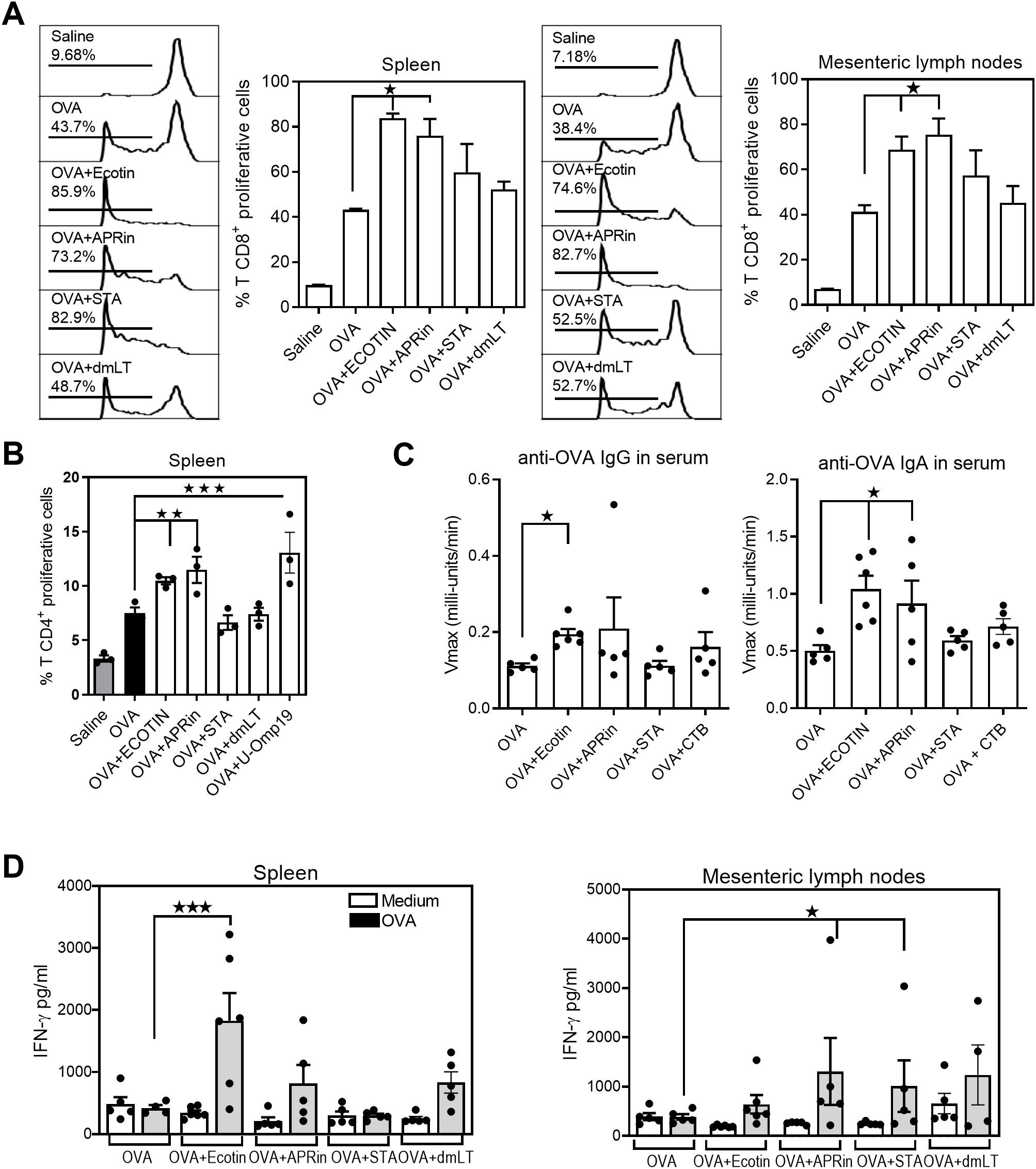 Composite image of four panels showing experimental data: A) Flow cytometry histograms show percentages of CD8+ proliferative cells in the spleen and mesenteric lymph nodes across different treatments, with bar graphs summarizing results. B) Bar graph illustrating percentages of CD4+ proliferative cells in the spleen, highlighting significant differences with asterisks. C) Bar graphs displaying anti-OVA IgG and IgA levels in serum, marked with asterisks to denote significance. D) Bar graphs comparing IFN-γ levels in spleen and mesenteric lymph nodes for different treatments, with significant differences marked.
