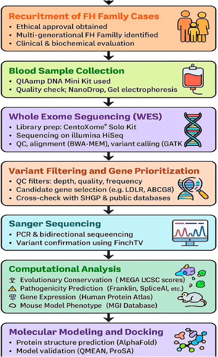 Flowchart detailing the process of studying FH family cases. Includes steps: recruitment, blood sample collection, whole exome sequencing, variant filtering, Sanger sequencing, computational analysis, and molecular modeling. Each step includes specific methods and goals, illustrated with relevant icons.