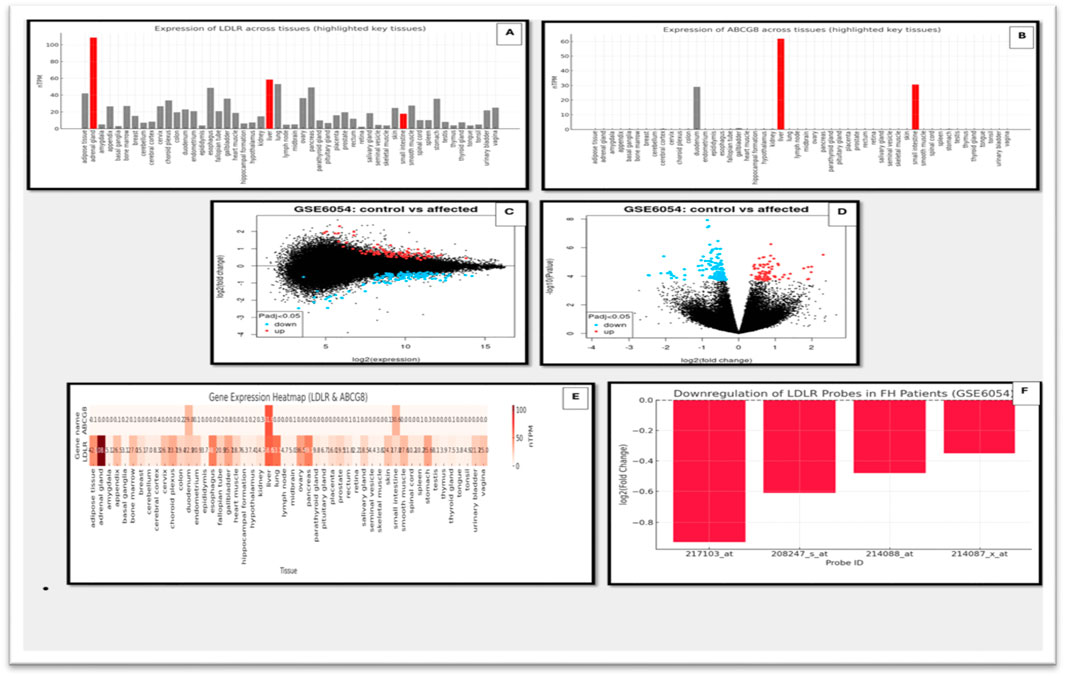 Panel of charts analyzing gene expression. A: Bar graph of LDLR expression across tissues, with prominent results in liver and testis. B: Bar graph of ABCG8 expression highlighted in liver, pancreas, and testis. C: Scatter plot of GSE6054 dataset, showing log expression with up and downregulated genes. D: Volcano plot of GSE6054 dataset, indicating significant gene expression changes. E: Heatmap comparing LDLR and ABCG8 expression across tissues, with intense expression in liver. F: Bar graph of downregulation of LDLR probes in FH patients, displaying different probe IDs.