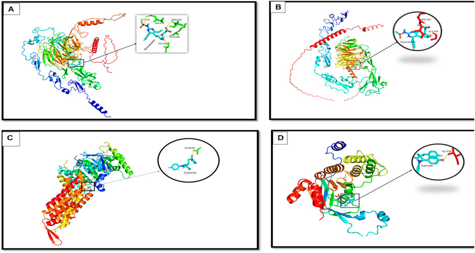Four diagrams labeled A, B, C, and D depict protein structures with colorful ribbon models. Each diagram includes a zoomed-in view of a specific molecular interaction. Diagram A highlights interactions between amino acids and a molecule labeled “Rosuvastatin.” Diagram B shows a similar interaction. Diagrams C and D focus on interactions with a molecule labeled “Ezetimibe,” showing different amino acid bonds.