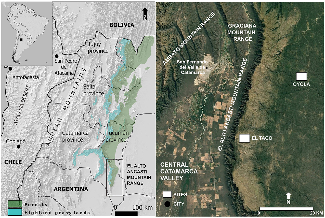 Map of northwestern Argentina with two sections. The left shows provinces and the Andean mountains. Forests and highland grasslands are marked. The right section zooms in on the Sierra El Alto-Ancasti area, showing San Fernando del Valle de Catamarca, Ambato Mountains, Graciana Mountains, and cities Oyola and El Taco.