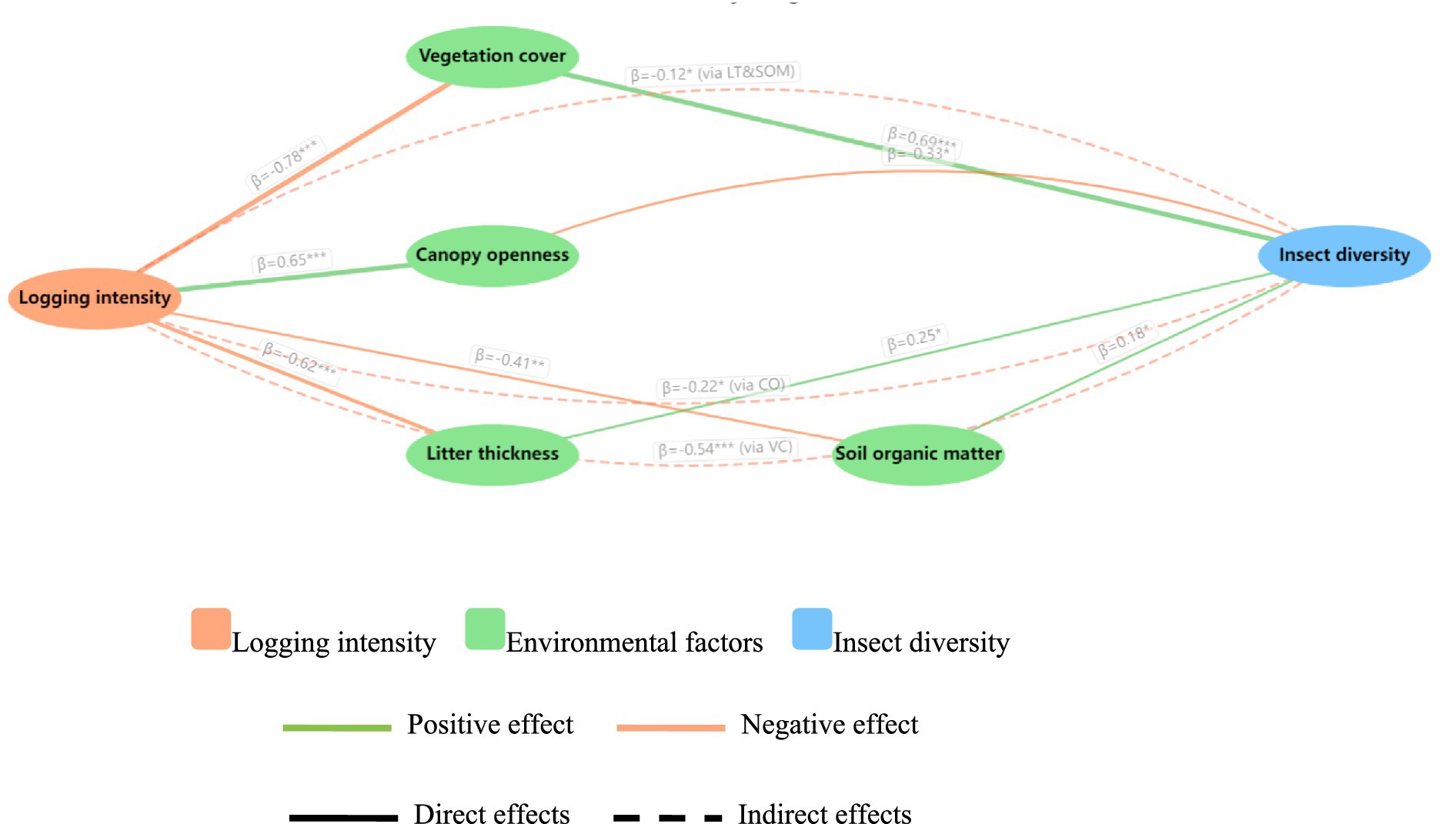 Diagram illustrating relationships between logging intensity, environmental factors, and insect diversity. Logging intensity negatively affects vegetation cover, canopy openness, litter thickness, and soil organic matter. Positive and negative effects on insect diversity are shown with direct and indirect pathways.