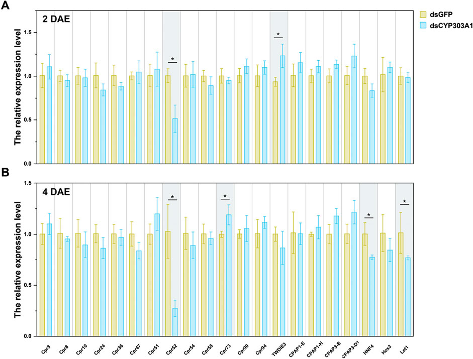 Bar charts comparing relative expression levels of two genes, dsGFP (yellow) and dsCYP303A1 (blue), at 2 days after emergence (DAE) and 4 DAE. Chart A shows data at 2 DAE, and chart B at 4 DAE. Specific significant differences marked with asterisks. The x-axis lists various gene identifiers, while the y-axis represents relative expression levels from 0.0 to 1.5.