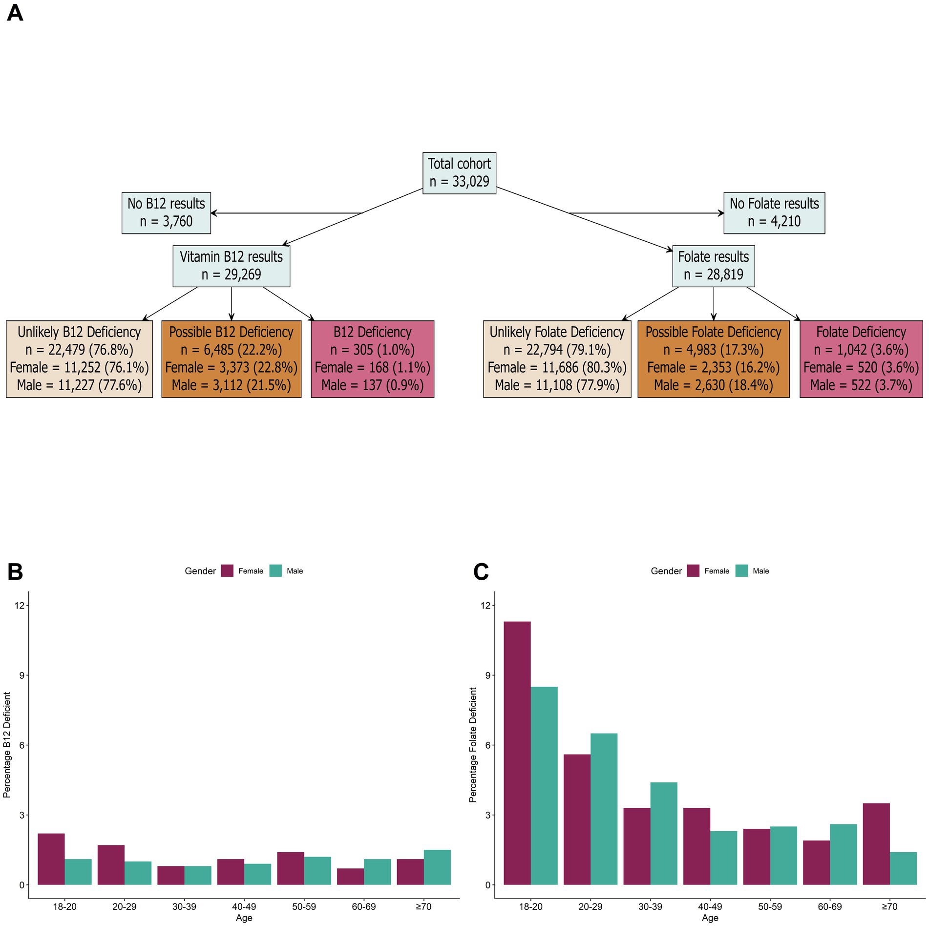 Flowchart and bar charts depict vitamin B12 and folate deficiency analysis in a cohort of 33,029 individuals. Chart A shows classification into no results, unlikely, possible, and definite deficiencies, with breakdowns by gender. Chart B illustrates the percentage of B12 deficiency by age and gender, while Chart C presents folate deficiency percentages across similar categories.