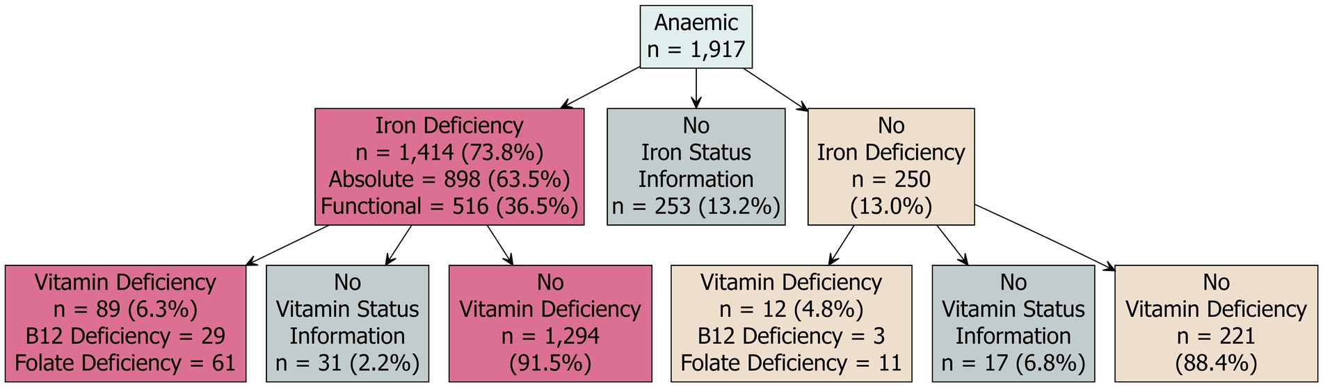 Flowchart depicting anemia analysis. Total anemic individuals: 1,917. Iron Deficiency: 1,414 (73.8%), with 898 absolute (63.5%) and 516 functional (36.5%). Vitamin deficiency among iron-deficient: 89 (6.3%), with 29 B12 and 61 folate deficiencies. No vitamin status information: 31 (2.2%). No vitamin deficiency: 1,294 (91.5%). No iron status information: 253 (13.2%). No iron deficiency: 250 (13.0%), with 12 (4.8%) having vitamin deficiencies, 3 B12 and 11 folate; no vitamin status information: 17 (6.8%); no vitamin deficiency: 221 (88.4%).