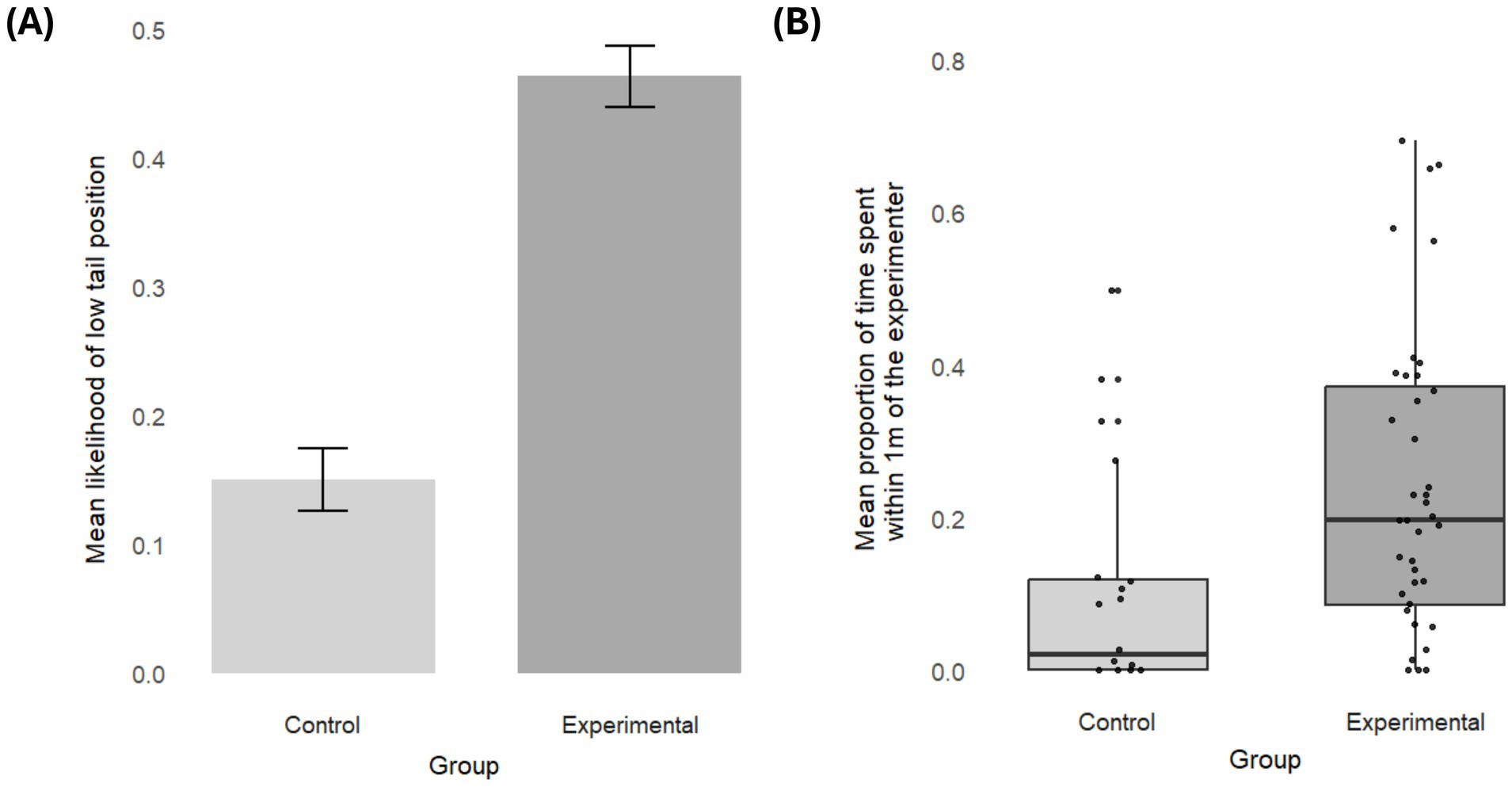 Two graphs compare control and experimental groups. Graph A is a bar chart showing the mean likelihood of low tail position, with the experimental group higher than the control. Graph B is a box plot showing the mean proportion of time spent within one meter of the experimenter, with the experimental group again higher, showing greater variability.