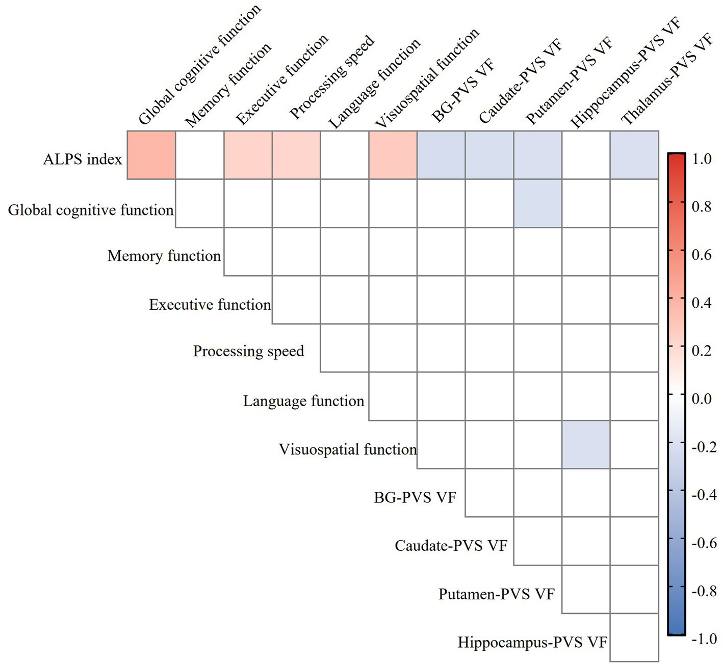 Correlation matrix heatmap depicting relationships among ALPS index, various cognitive functions and brain subcortical region PVS volume. Positive correlations show in red and negative in blue. The ALPS index is positively correlated with global cognitive and some specific functions, while showing negative correlation with BG (including caudate and putamen subregions) and thalamus regions. A red-blue gradient scale on the right represents the correlation coefficient from 1.0 to -1.0.