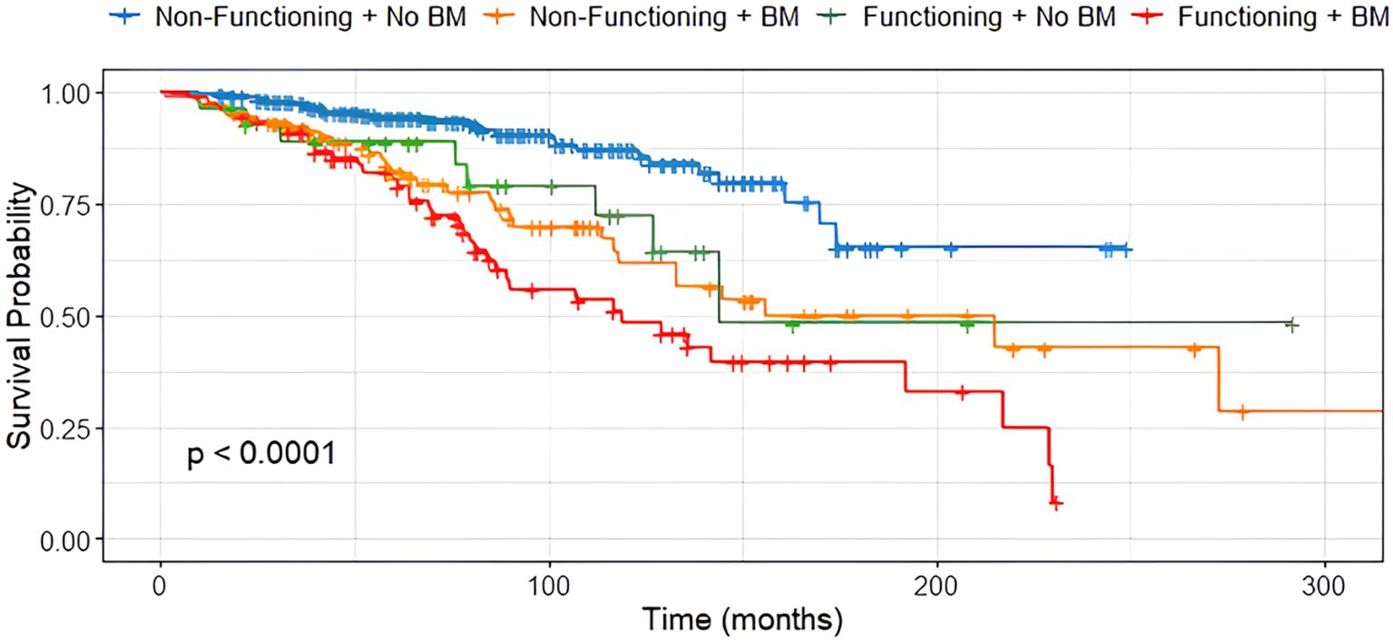 Kaplan-Meier survival curves showing survival probability over time in months for different groups. Blue represents non-functioning with no bone metastases (BM), orange for non-functioning with BM, green for functioning with no BM, and red for functioning with BM. The survival probability is highest for the blue group and lowest for the red group. The p-value is less than 0.0001.