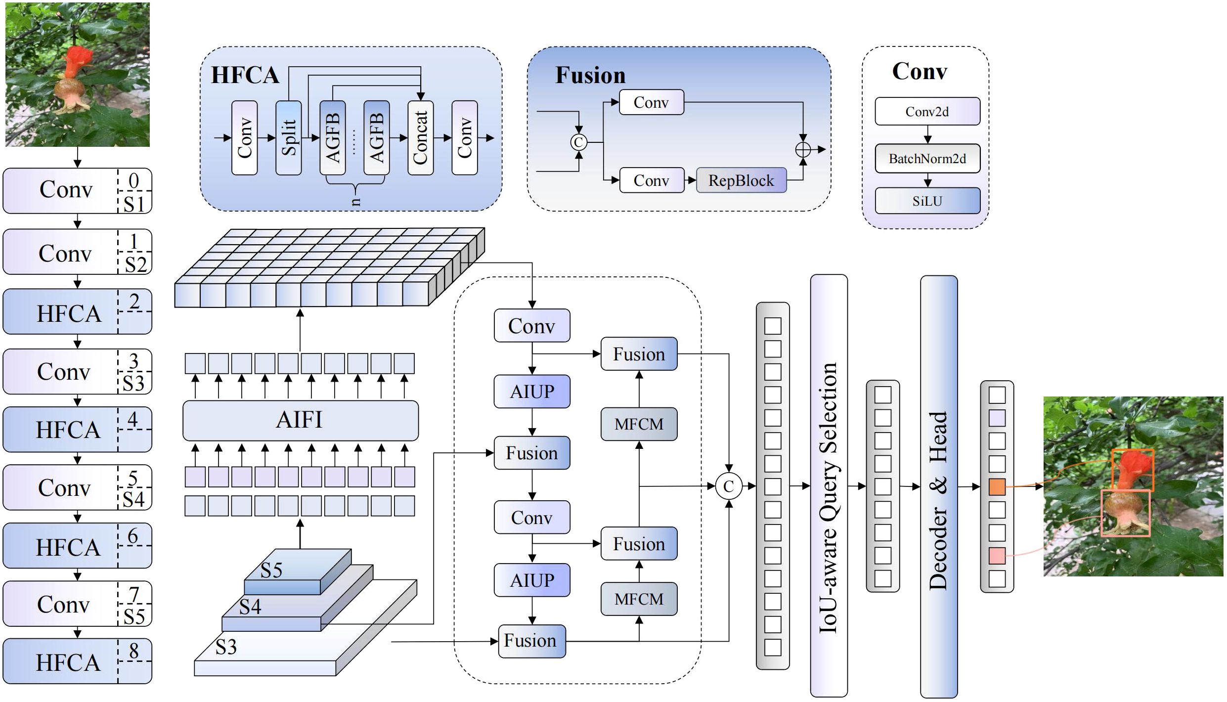 Flowchart of a machine learning model for object detection. It includes stages like convolutional layers (Conv), hybrid feature-channel attention (HFCA), and fusion processes. The model starts with an input image of a flower, moving through layers of feature extraction and attention mechanisms (AIFI, AIUP, MFCM), ending with IoU-aware query selection and a decoder and head for final output annotation. Two images of the original and detected flower are shown for comparison.