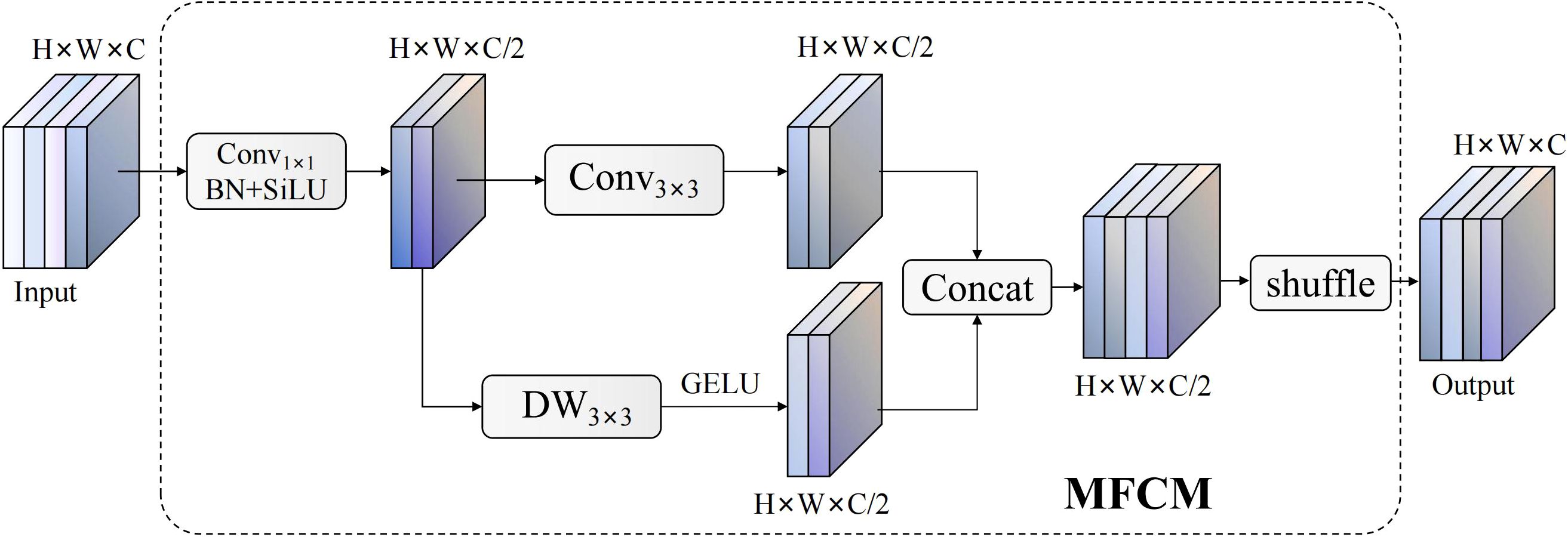 Diagram of a Multi-Frame Convolutional Module (MFCM) process. The input with dimensions HxWxC undergoes a convolution with Conv_1x1, followed by batch normalization and SiLU activation, reducing dimensions to HxWxC/2. It then branches into two paths: a Conv_3x3 and a depth-wise DW_3x3 with GELU activation. Outputs from both paths are concatenated, shuffled, and finally produce an output of dimensions HxWxC.