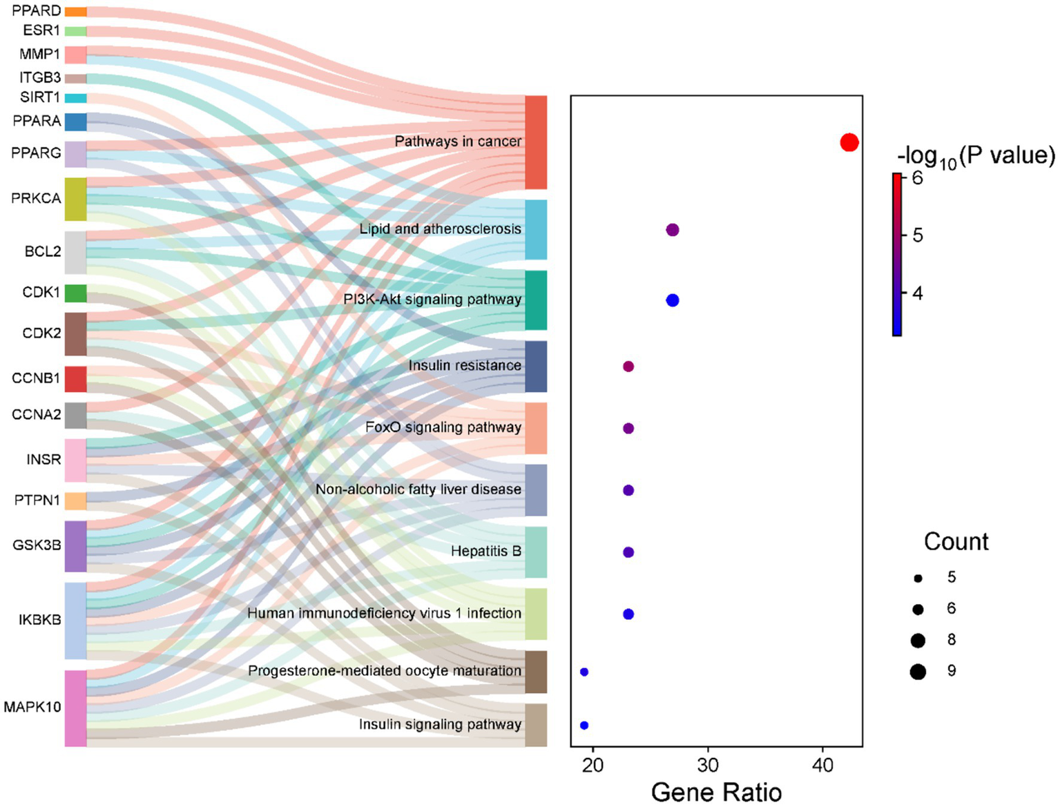 Sankey diagram illustrating the relationships between genes and biological pathways, such as "Pathways in cancer" and "Insulin resistance." A dot plot on the right shows gene ratios against -log10 P-values, with dots sized by count, highlighting significant pathways.