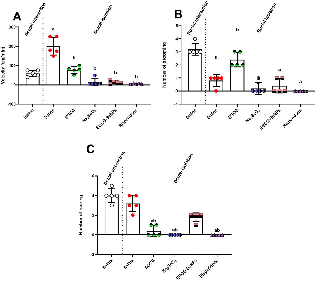 Three bar graphs titled A, B, and C illustrate various behavioral metrics. Graph A shows velocity (cm/min) during social interaction and isolation, with saline, EGCG, Na₂SeO₃, EGCG-SeNPs, and risperidone treatments. Graph B displays the number of grooming instances under the same conditions. Graph C shows the number of rearing instances. Treatments are noted for significant differences with letters