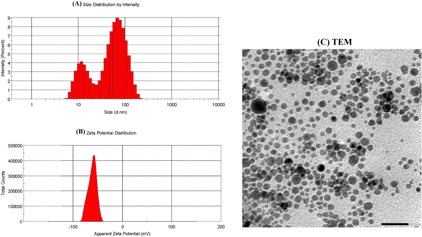 Panel (A) shows a bar graph depicting intensity percentage against particle size in nanometers, indicating two peaks. Panel (B) displays a graph of apparent zeta potential in millivolts, with a sharp peak around -100 mV. Panel (C) is a microscopic image of numerous spherical particles of varying sizes closely packed together.