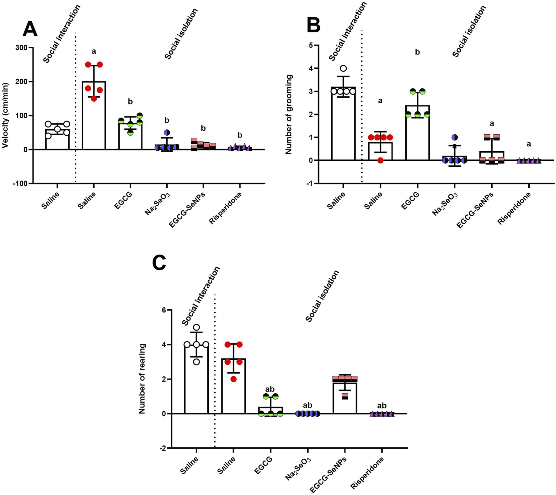 Three bar graphs titled A, B, and C illustrate various behavioral metrics. Graph A shows velocity (cm/min) during social interaction and isolation, with saline, EGCG, Na₂SeO₃, EGCG-SeNPs, and risperidone treatments. Graph B displays the number of grooming instances under the same conditions. Graph C shows the number of rearing instances. Treatments are noted for significant differences with letters "a" and "b." Each graph compares the impact on behavior across different treatments.