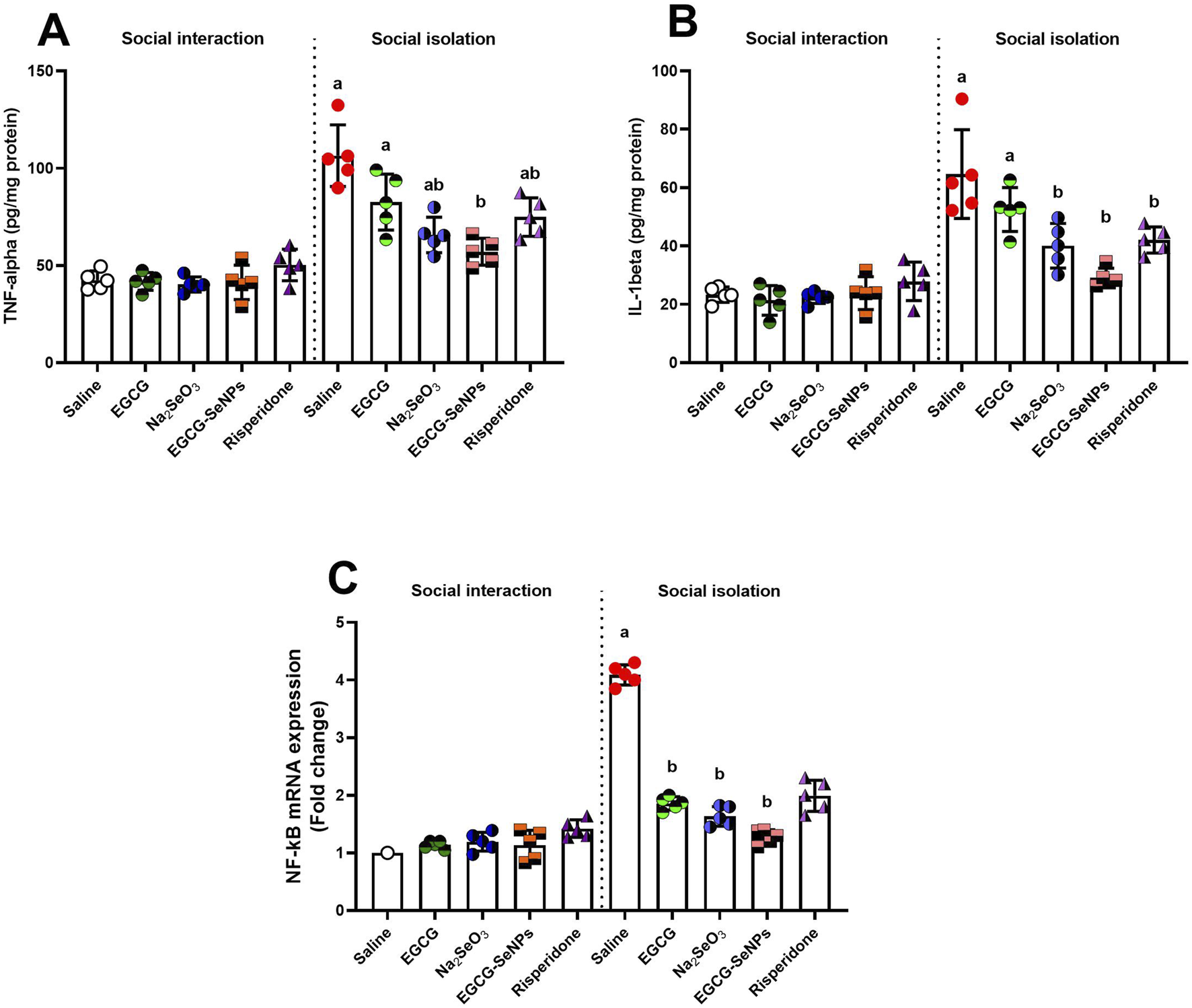 Bar graphs display protein and mRNA expression levels under social interaction and social isolation conditions:A) TNF-alpha levels;B) IL-1beta levels; C) NF-kB mRNA expression.Each graph compares treatments: Saline, EGCG, Na₂SeO₃, EGCG-SeNPs, Risperidone. Data points use distinct markers, and statistical significance is indicated with letters.