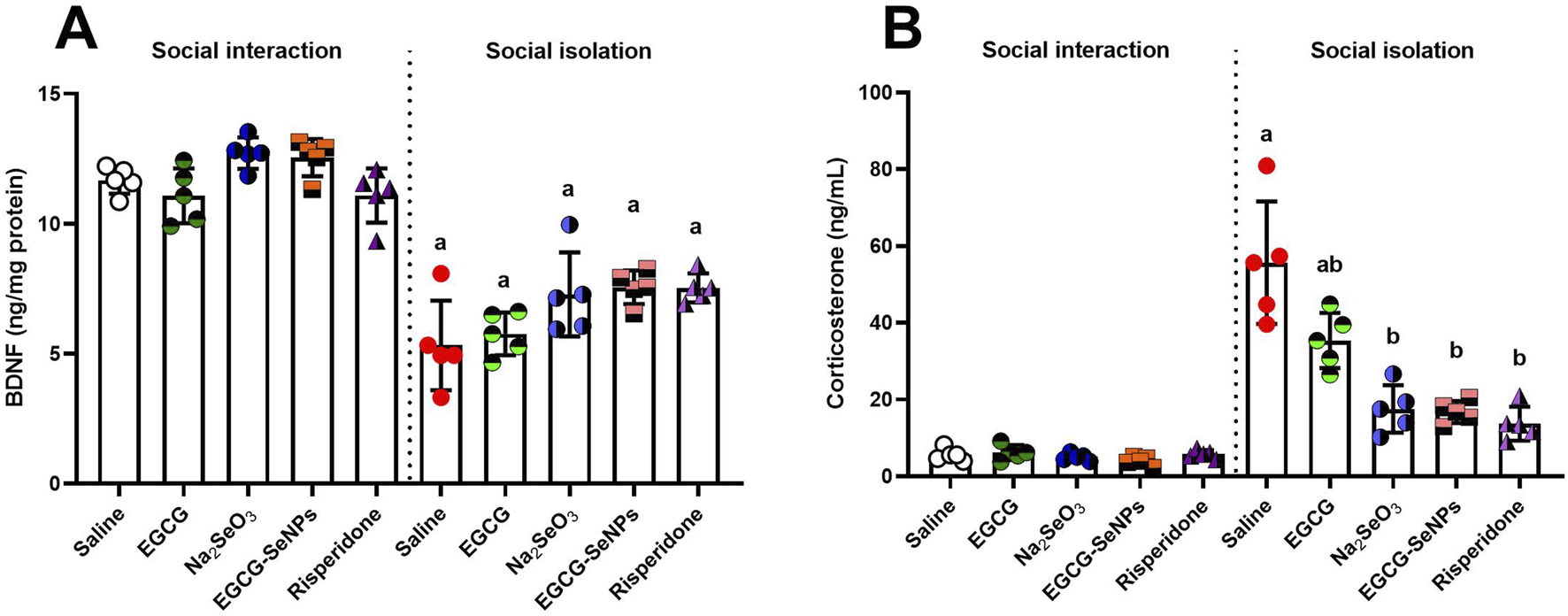 Bar charts showing levels of BDNF and corticosterone under social interaction and isolation. Chart A displays BDNF levels, while chart B shows corticosterone levels. Various treatments include Saline, EGCG, Sodium selenite, EGCG-SeNPs, and Risperidone. Data points are represented with different colored and shaped markers indicating treatment groups and conditions. Significant differences between groups are marked with letters.