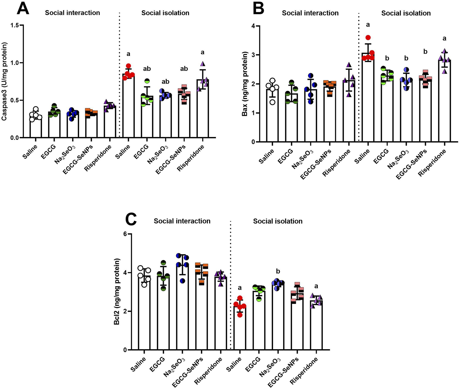 Bar graphs labeled A, B, and C showing protein levels (Caspase3, Bax, Bcl-2) under social interaction and isolation conditions with treatments: Saline, EGCG, Na2-SeO3, EGCG-SeNPs, and Risperidone. Significant differences are marked with letters above bars. Data indicates protein expression variations under different conditions and treatments, highlighting the effects of social environment and substances on protein levels.