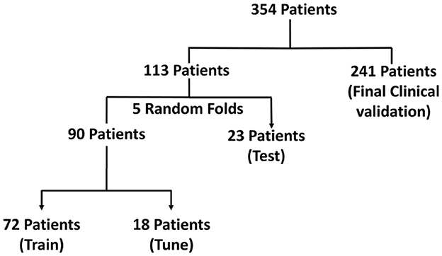 Flowchart illustrating patient distribution. Starting with 354 patients, split into 113 for testing and 241 for final clinical validation. The 113 are further divided into 90 for five random folds and 23 for testing. Of the 90, 72 are for training and 18 for tuning.