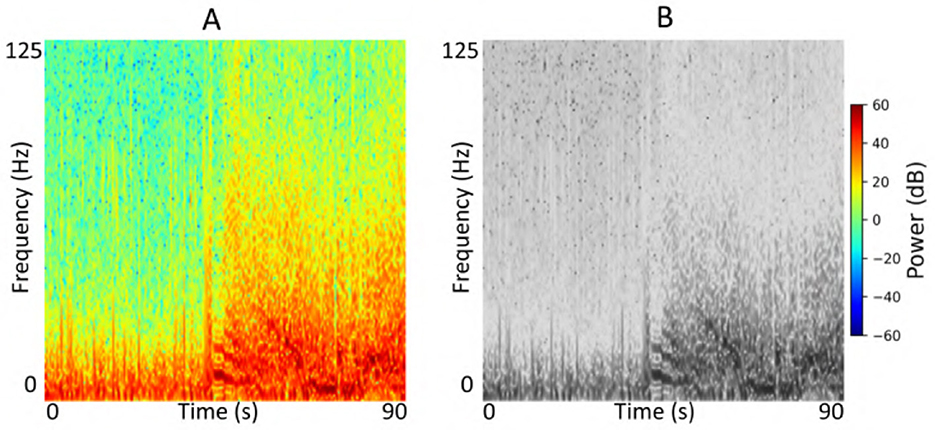 Two spectrograms labeled A and B display frequency versus time over ninety seconds. Panel A uses color to represent power levels from blue to red, while panel B is in grayscale. Both charts show frequency from zero to one hundred twenty-five Hertz.