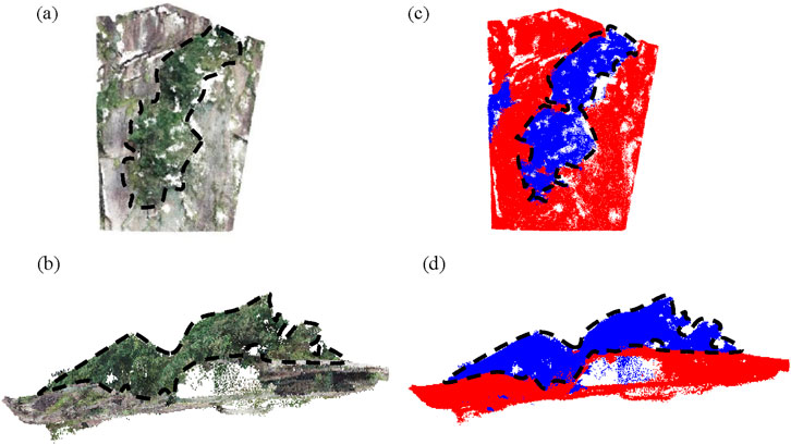 (a) and (b) show aerial perspectives of a green, vegetated area outlined by black dashed lines. (c) and (d) depict the same area in a color-coded format: red and blue sections denote different regions, with black dashed lines indicating boundaries.