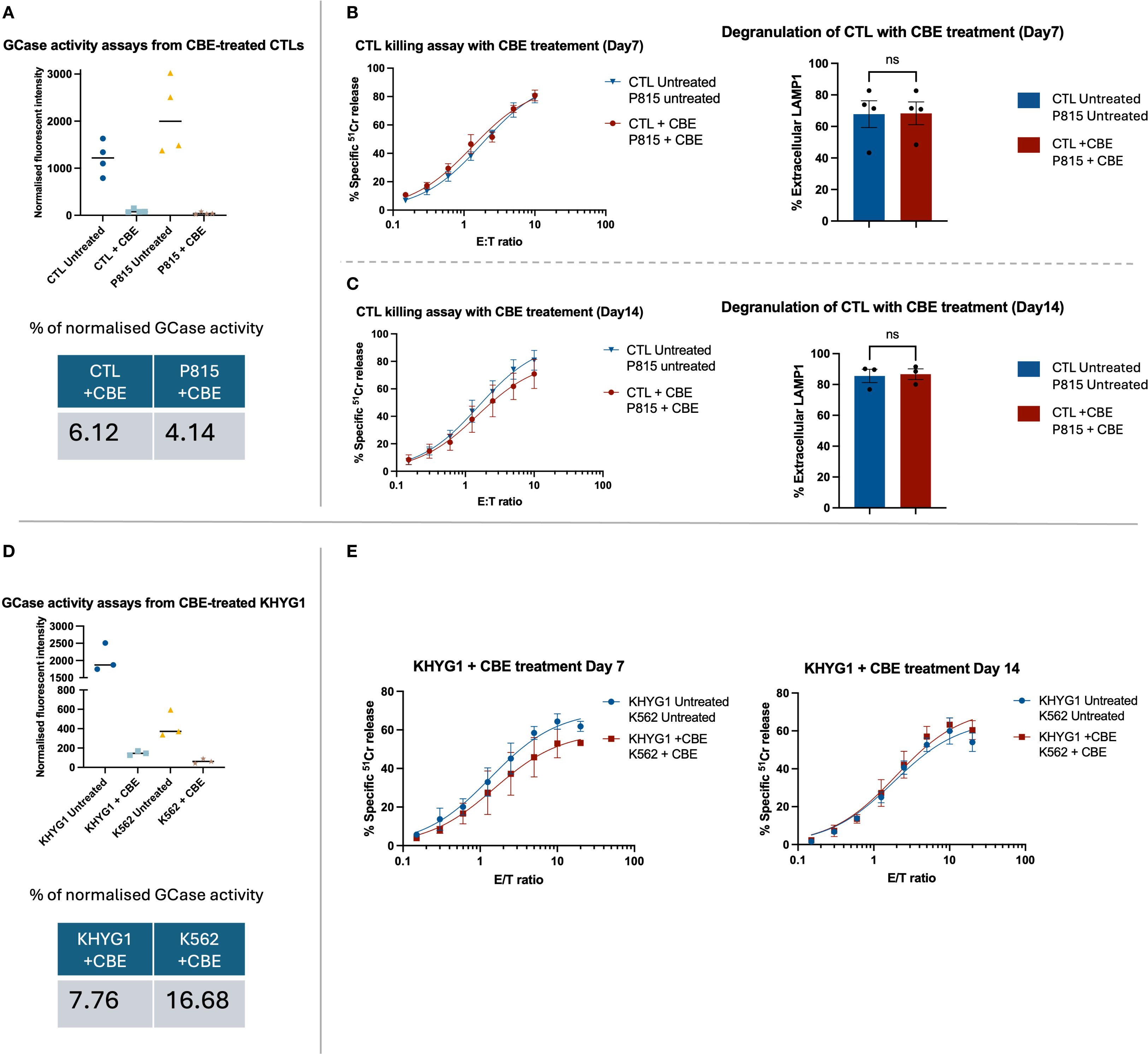 Graphs and charts illustrate the effects of CBE treatment on CTLs and KHYG1 cells. Panel A shows GCase activity assays with significant reductions after CBE treatment. Panels B and C depict CTL killing assays across different E:T ratio, showing comparabe levels of Cr release with and without CBE. Degranulation graphs display extracellular LAMP1 percentages. Panel D presents GCase activity in KHYG1 cells, with reductions post-treatment. Panel E shows KHYG1 killing assays, indicating CBE effects on specific Cr release. Normalized GCase activities are summarized in tables. Bars and lines represent data points with errors, comparisons, and significance levels.