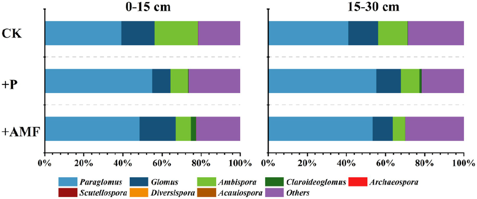 Stacked bar charts compare the relative abundance of various fungal genera in soil depths of zero to fifteen centimeters and fifteen to thirty centimeters under three treatments: CK, +P, and +AMF. Fungal genera include Paraglomus, Glomus, Ambispora, Claroideoglomus, Scutellospora, Diversispora, Archaeospora, Acaulospora, and others. Paraglomus consistently represents the largest proportion, followed by others. Colors distinguish each genus, with percentages shown on the horizontal axis.