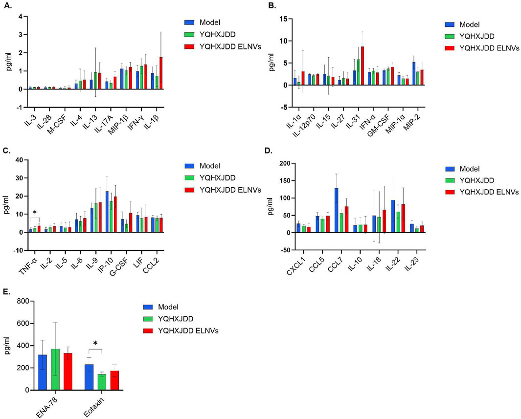 Bar charts labeled A to E showing cytokine levels in various categories for three study groups: Model (blue), YQHXJDD (green), and YQHXJDD ELNVs (red). The charts display levels in pg/ml for different cytokines, with significant differences marked by asterisks. Error bars indicate variability within each group.
