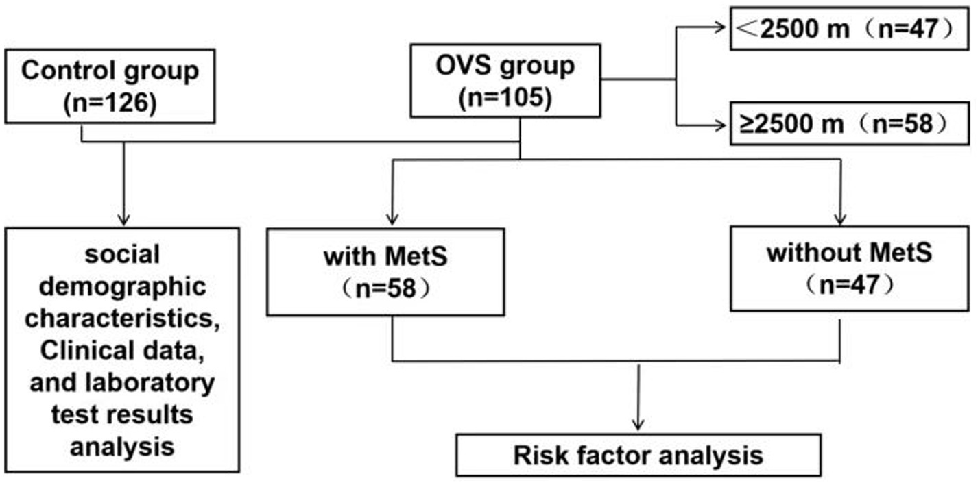 Flowchart depicting two groups: Control group (126 individuals) and OVS group (105 individuals). First, the OVS group is further divided into those with MetS (58 individuals) and without MetS (47 individuals), followed by risk factor analysis for these two subgroups. Subsequently, the OVS group is divided by altitude into two subgroups: less than 2500 meters (47 individuals) and 2500 meters or more (58 individuals), and the ratio of OVS patients with Metabolic Syndrome (MetS) in these two altitude subgroups is analyzed.