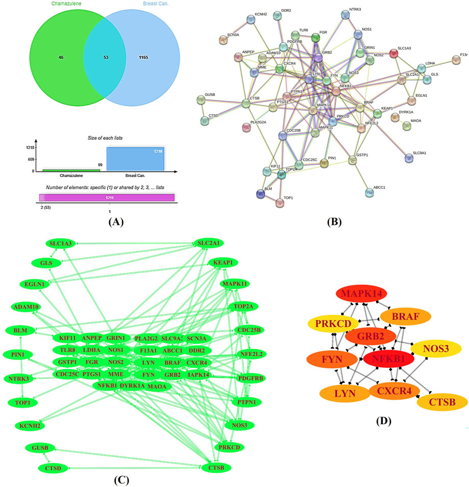(A) Venn diagram and bar chart comparing chamazulene and breast cancer target datasets, highlighting intersections and the number of unique and shared elements. (B) Network diagram illustrating interactions among various gene targets. (C) Green network graph showing PPI connections. (D) Network interaction map highlighting hub genes in shades from yellow to red based on interaction strength.