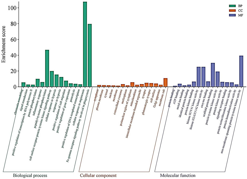 Bar chart depicting enrichment scores for categories: Biological Process (green), Cellular Component (orange), and Molecular Function (blue). Highest scores in Biological Process are for