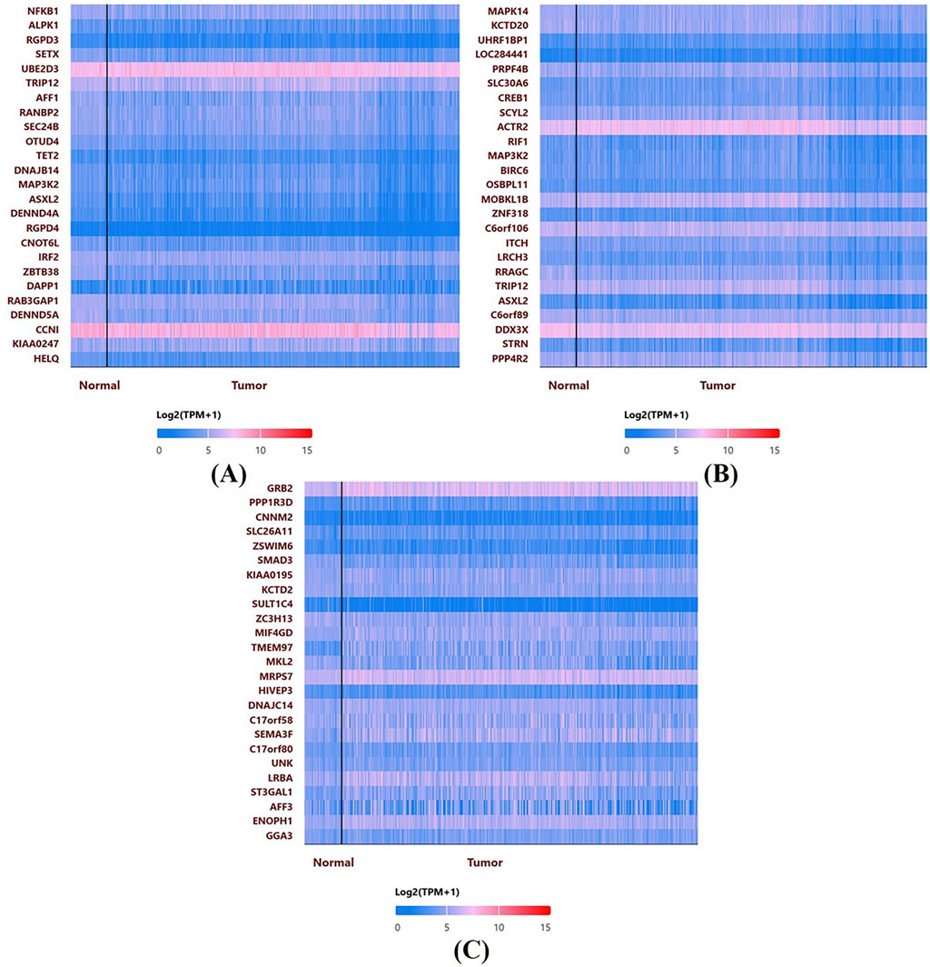 Three heatmaps labeled A, B, and C compare gene expression levels in normal and tumor samples. Each map shows blue to red color gradients indicating low to high expression levels. Gene names are listed on the left, while the color scale from zero to fifteen is provided at the bottom, representing log2(TPM+1) values.