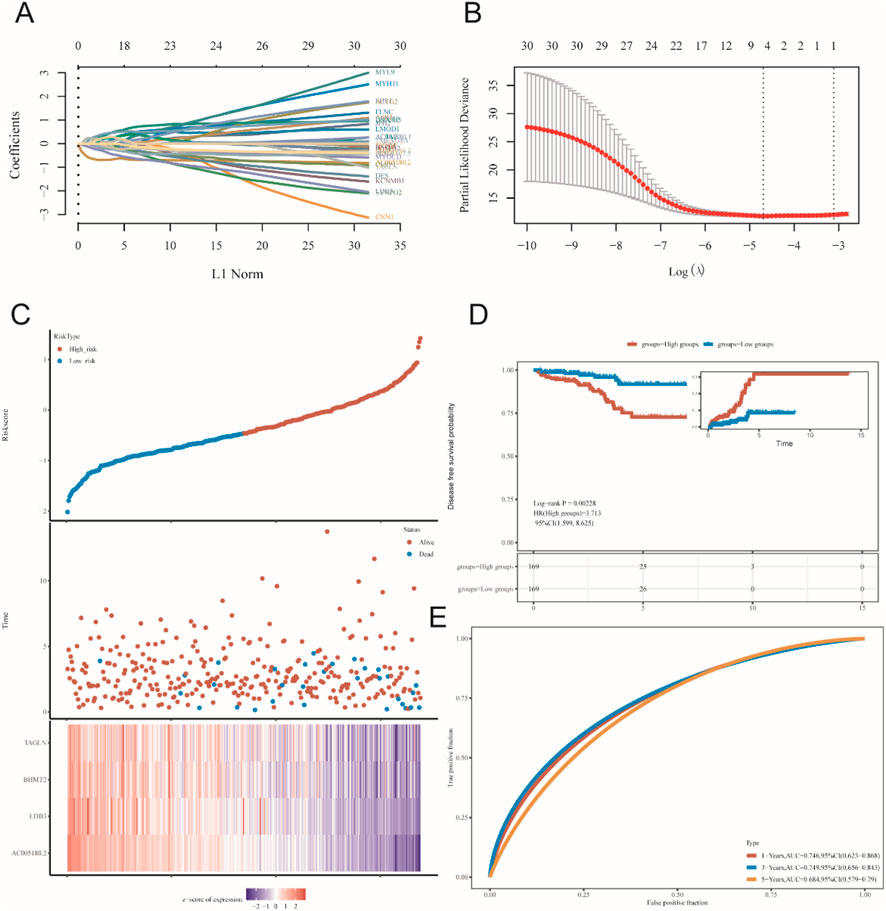 Panel A shows a Lasso regression plot with coefficients against L1 norm. Panel B presents a plot of partial likelihood deviance against log lambda values. Panel C includes a risk score distribution, scatter plot, and heat map for gene expression based on risk type. Panel D features a Kaplan-Meier survival curve with a log-rank test for high and low-risk groups. Panel E displays a time-dependent ROC curve illustrating true positive versus false positive rates, measuring model performance.