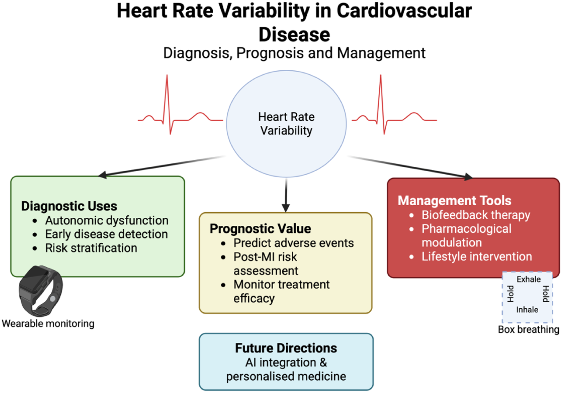 Heart rate variability in cardiovascular disease infographic. Central circle labeled \"Heart Rate Variability\" connected to sections: Diagnostic Uses (autonomic dysfunction, early disease detection, risk stratification), Prognostic Value (predict adverse events, post-myocardial infarction risk assessment, monitor treatment efficacy), and Management Tools (biofeedback therapy, pharmacological modulation, lifestyle intervention). Includes wearable monitoring and box breathing visuals. Future Directions mention AI integration and personalized medicine.