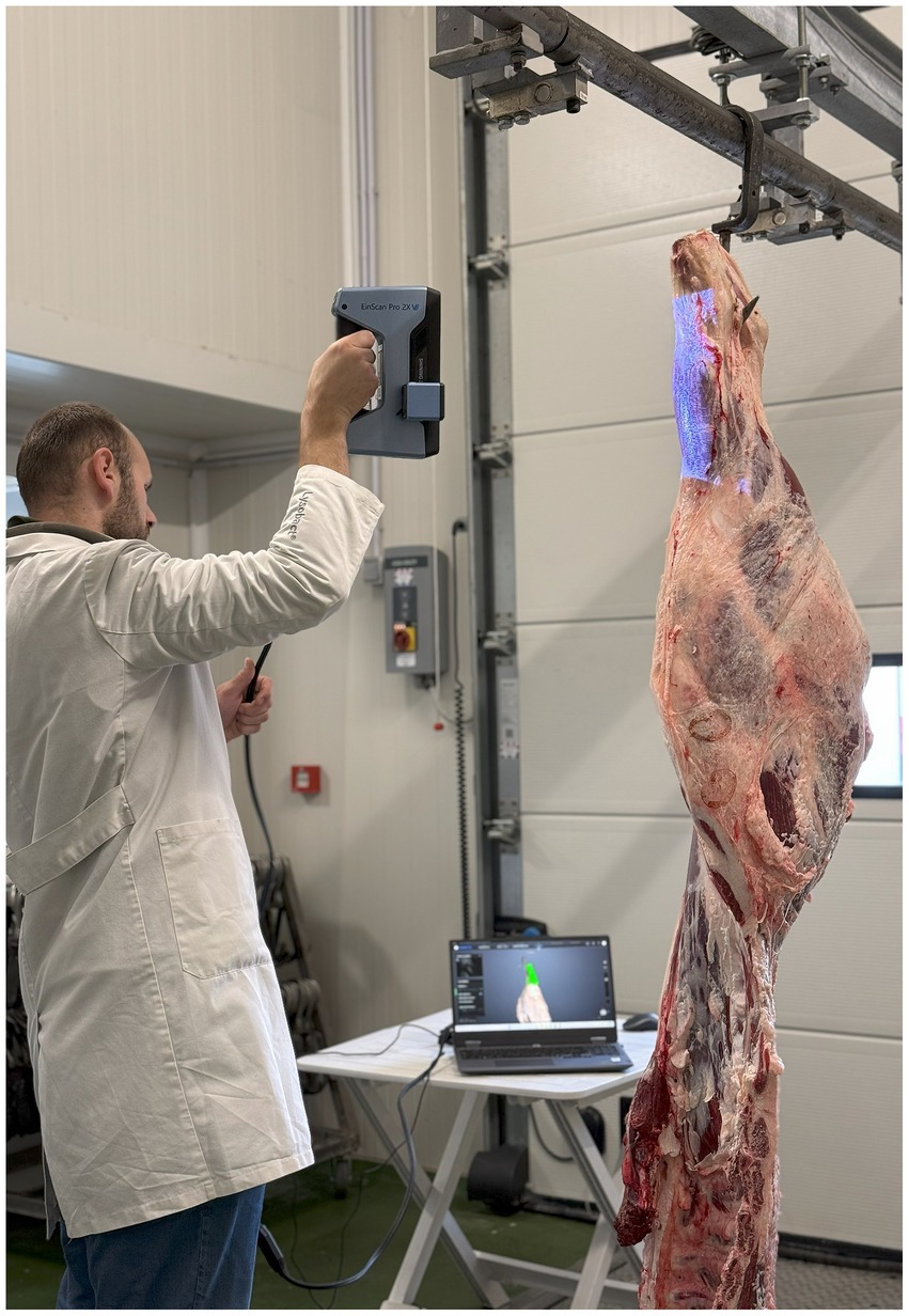 A person wearing a white lab coat uses a handheld scanner to scan a large piece of hanging meat carcass. A nearby laptop displays a 3D model of the scanned meat. The setting appears to be an industrial facility.