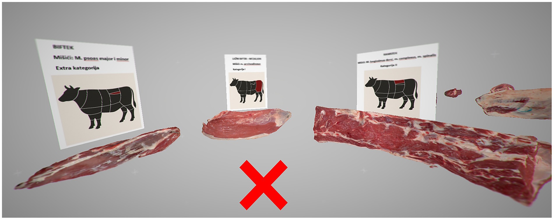 Cuts of meat are displayed against diagrams showing different sections of beef. Each diagram highlights a segment of the cow where the meat comes from. A large red X is placed below the cuts, suggesting the position of the VR user in the virtual environment.