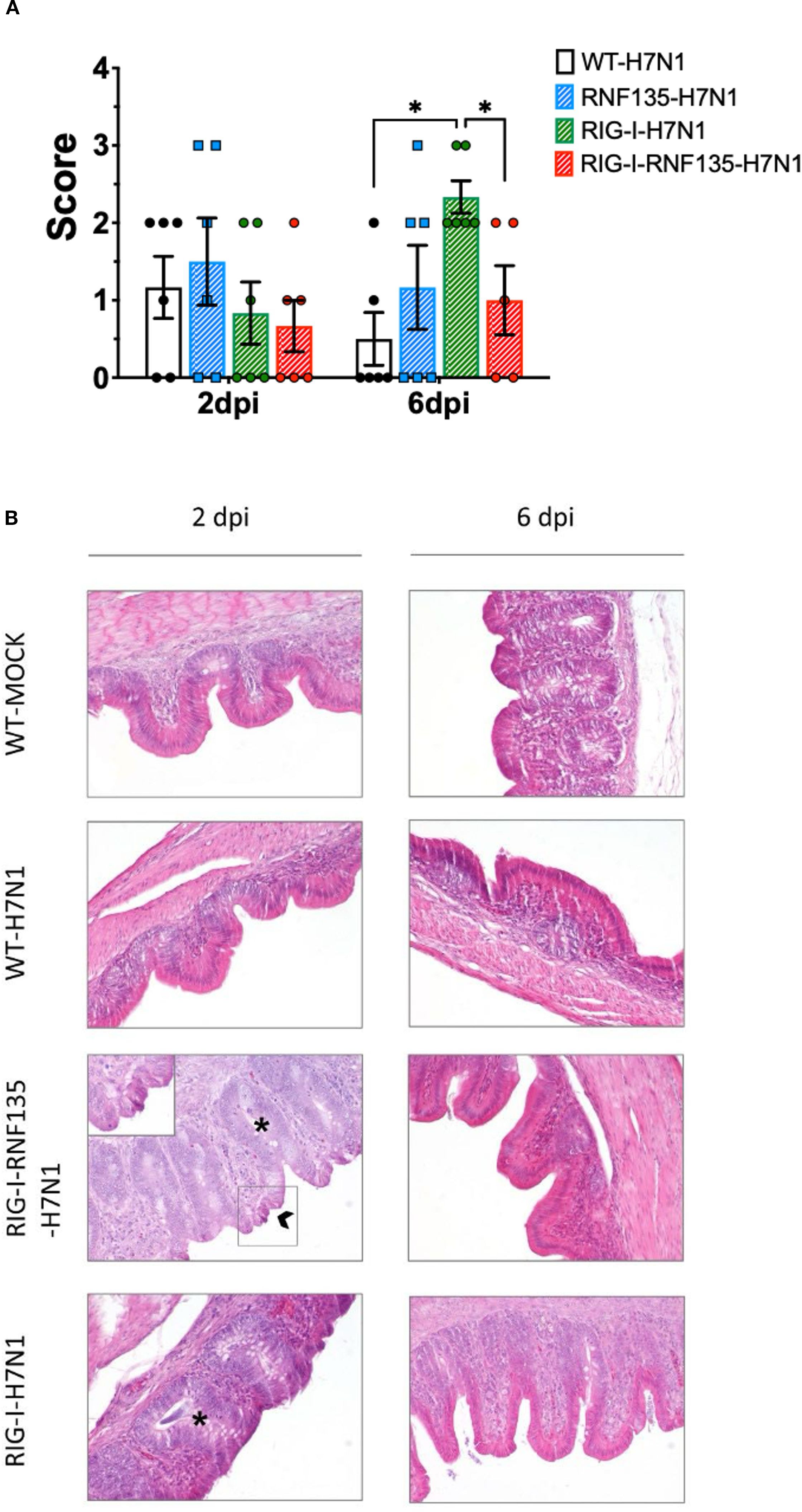 A シリアル 74LS85 - 4-Bit Magnitude Comparator