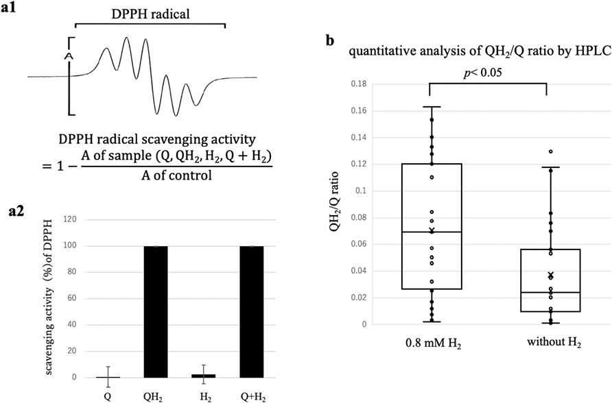 Diagram a1 shows a DPPH radical scavenging activity formula with oscillating waves. Chart a2 is a bar graph depicting DPPH scavenging activity, with high activity for QHâ‚‚ and Q+Hâ‚‚, but low for Q and Hâ‚‚. Graph b is a box plot showing QHâ‚‚/Q ratio analysis by HPLC, highlighting a significant difference with and without 0.8 millimoles per liter Hâ‚‚ (p<0.05).