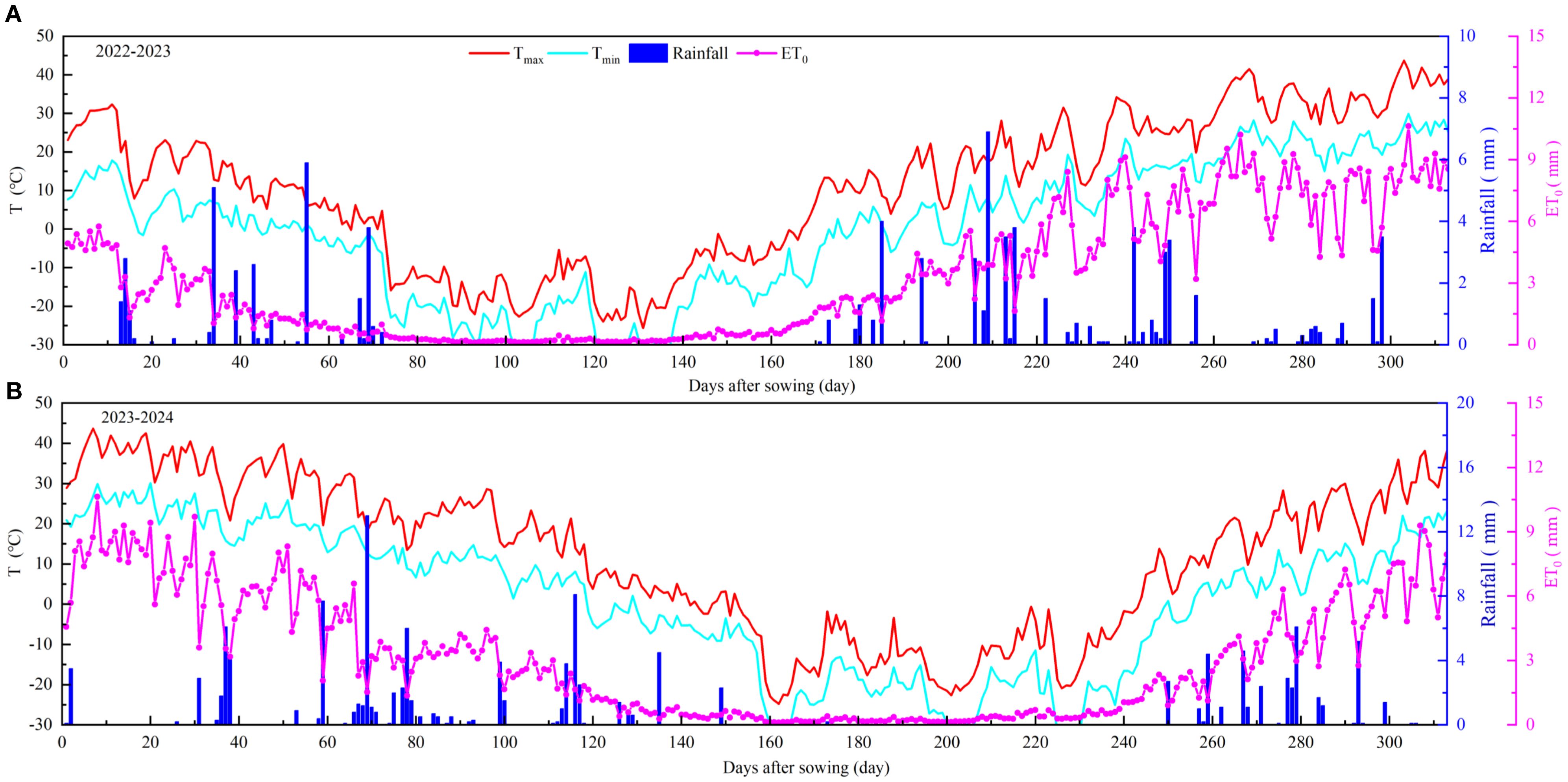 Two line graphs show temperature, rainfall, and evapotranspiration over days after sowing for 2022-2023 and 2023-2024. Panel A depicts 2022-2023 data, while Panel B shows 2023-2024. Each graph includes maximum and minimum temperatures in red and cyan, rainfall in blue bars, and evapotranspiration in magenta. Temperature fluctuates over time, with notable variations in rainfall and evapotranspiration patterns.