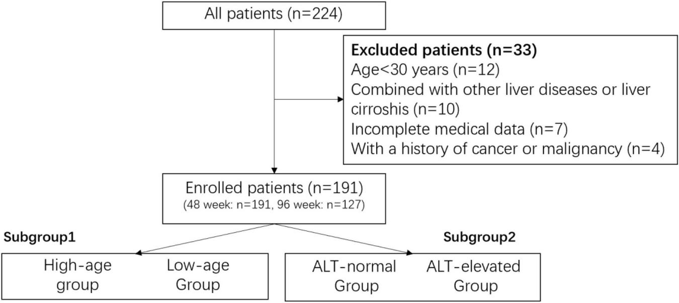 Flowchart depicting patient selection and subgroup classification. Out of 224 patients, 33 were excluded for reasons such as age under 30, other liver diseases, incomplete data, or cancer history. Remaining 191 patients were enrolled, with 48 enrolled for 191 weeks and 96 for 127 weeks. Subgroup 1 consists of high-age and low-age groups. Subgroup 2 includes ALT-normal and ALT-elevated groups.