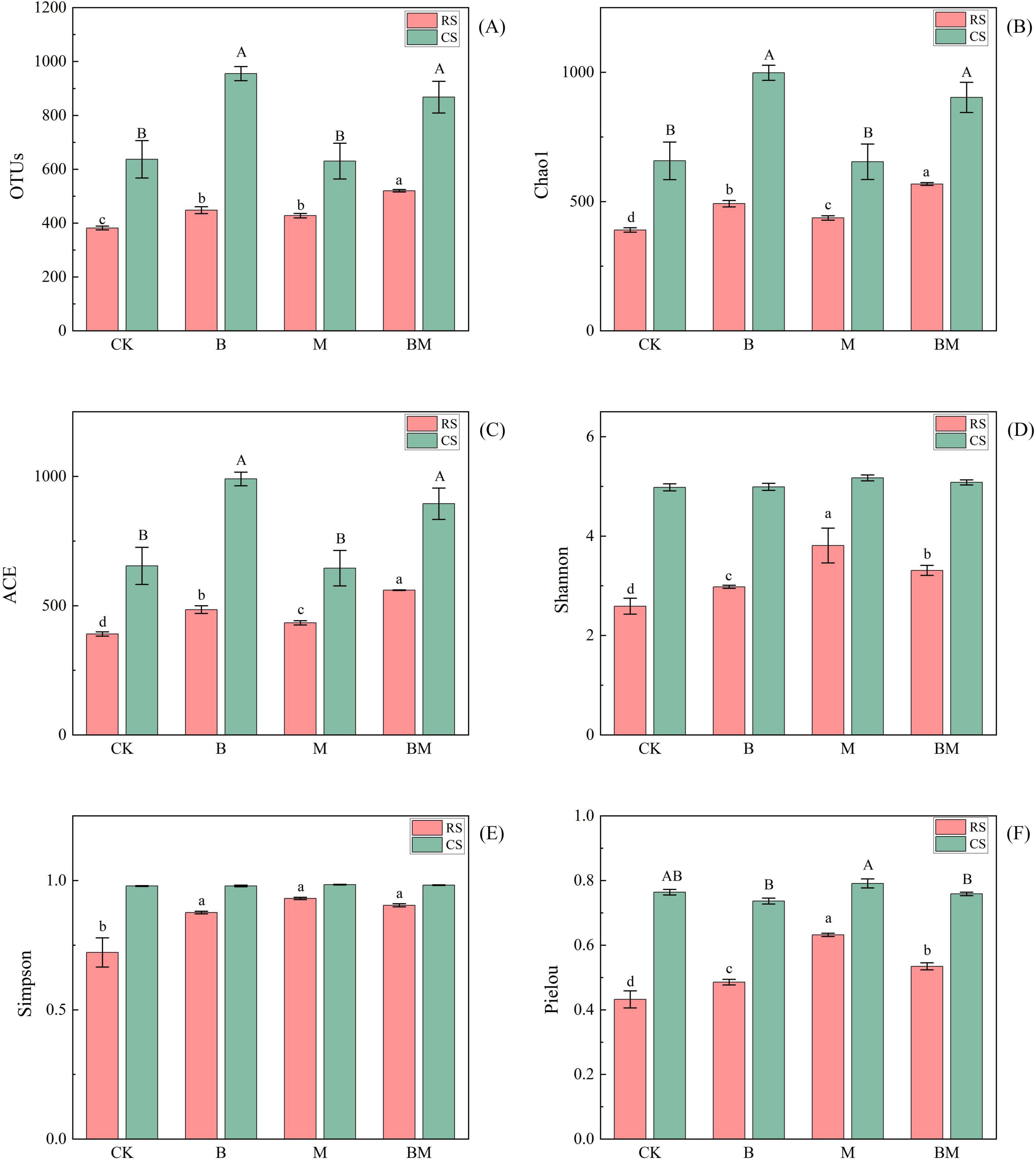 Grouped bar charts comparing ecological indices across four treatments: CK, B, M, and BM. Each chart shows RS and CS values. (A) Observed OTUs: CS higher than RS in BM. (B) Chao1: CS highest in BM. (C) ACE: CS significantly higher overall. (D) Shannon index: Minimal variation, CS slightly higher. (E) Simpson index: CS slightly lower than RS. (F) Pielou’s evenness: CS generally higher than RS. Each chart uses color coding, red for RS and green for CS.