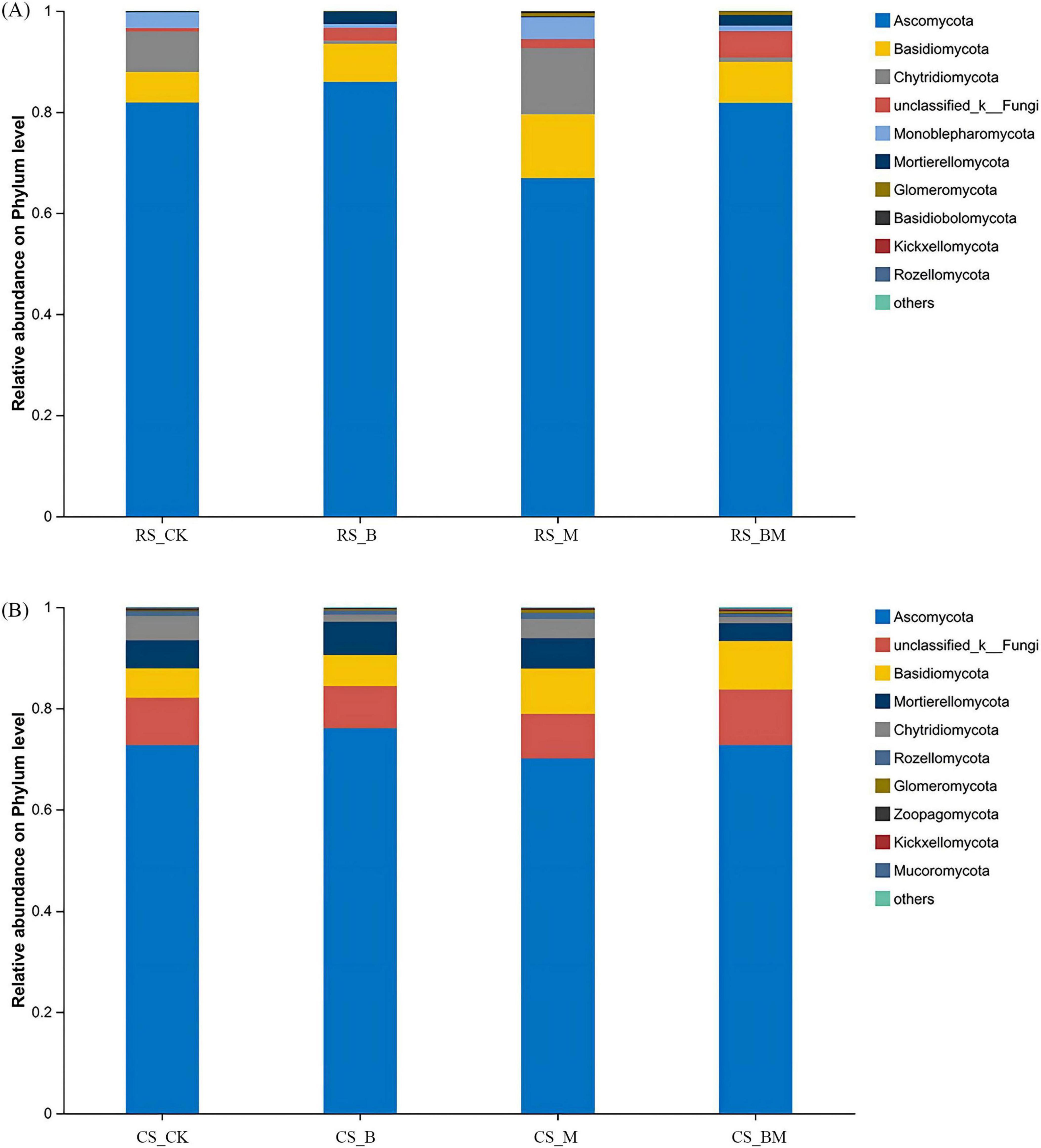 Bar charts showing the relative abundance of fungi phyla. Chart A compares RS_CK, RS_B, RS_M, and RS_BM samples, while chart B compares CS_CK, CS_B, CS_M, and CS_BM samples. The bars are color-coded to represent different phyla, including Ascomycota, Basidiomycota, and others, with Ascomycota being the most dominant. Each phylum’s proportion is visually represented in each sample. Legends are included to identify colors for each phylum.