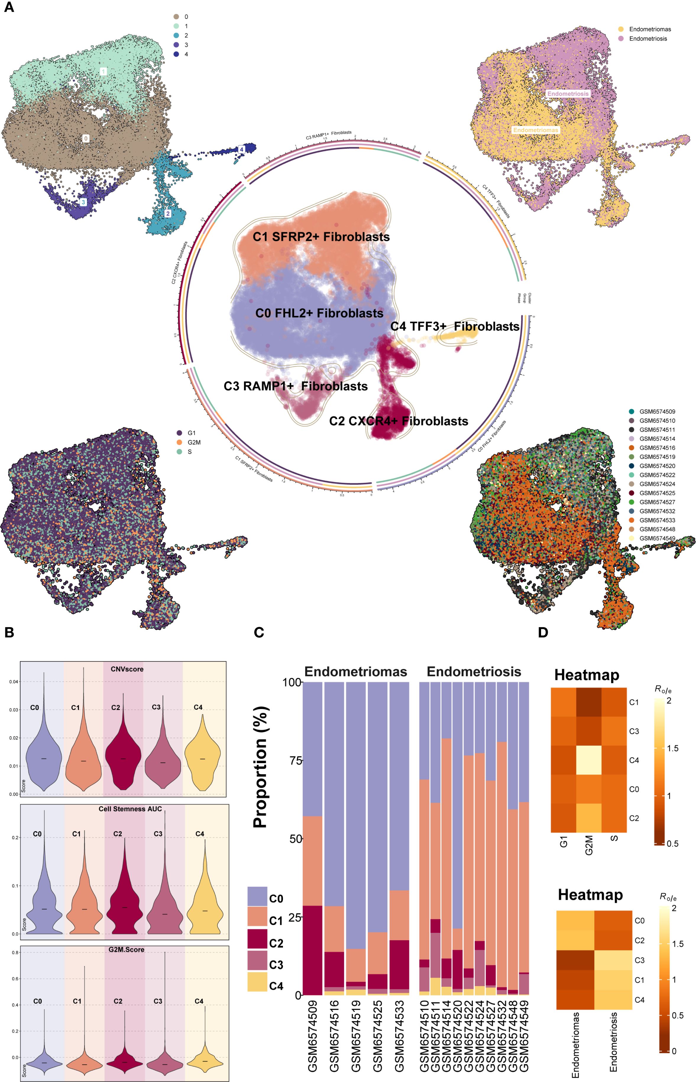 Diagram featuring multiple panels: A) Cluster diagram of fibroblast subtypes labeled C0 to C4, differentiated by marker expressions. B) Violin plots showing CNV score, cell stemness AUC, and G2M score for each subtype. C) Bar chart comparing fibroblast proportions in endometriomas and endometriosis samples. D) Heatmaps showing correlation levels among various fibroblast subtypes and conditions.