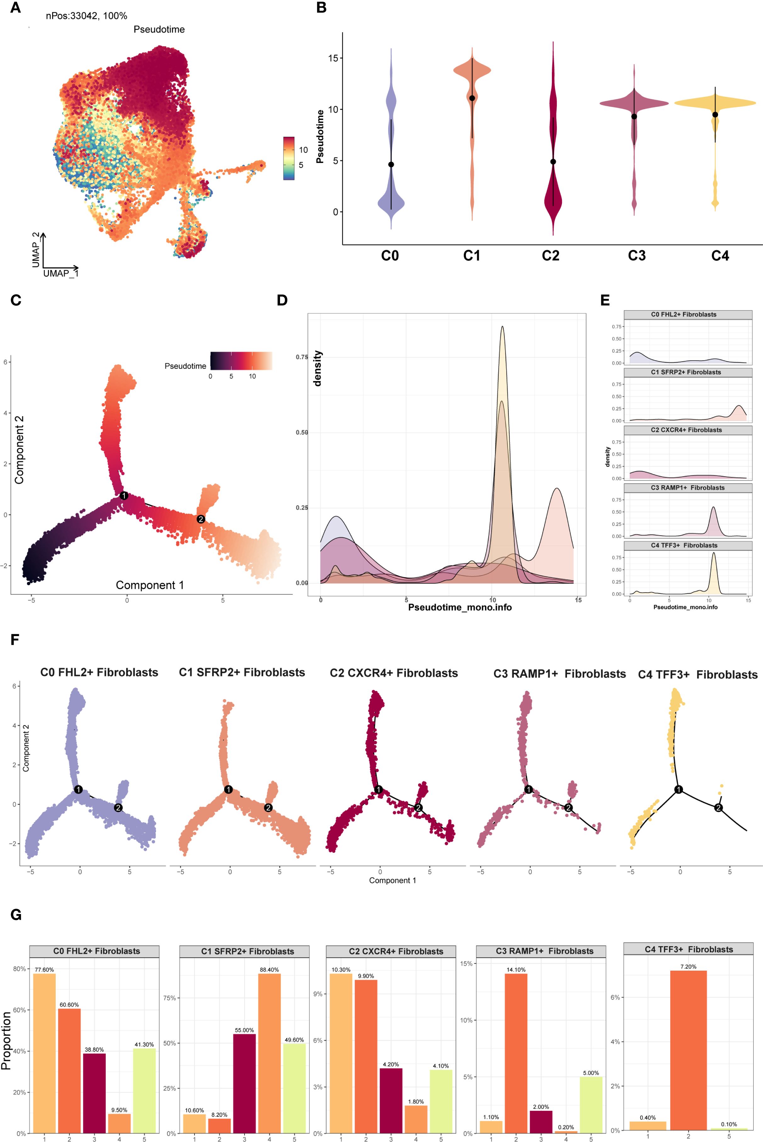 Collection of charts and graphs illustrating pseudotime analysis of fibroblast subpopulations. Panel A shows a UMAP plot with color gradient. Panel B displays violin plots for pseudotime distribution of clusters C0 to C4. Panel C is a pseudotime trajectory plot. Panel D features density plots over pseudotime. Panel E contains density plots for fibroblast types. Panel F shows individual pseudotime trajectories for five fibroblast types with color coding. Panel G provides bar charts of cell proportion in each fibroblast subtype, with different colors representing various subpopulations.